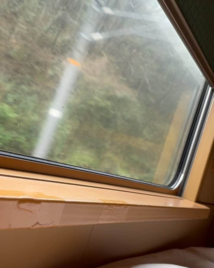 肘井美佳のインスタグラム：「Scenary I took lying down on the sleeper train.  寝てるところからの車窓です。 トンネルに入ると真っ暗になるよ！ 音が変わるのがとてもいいね。  もっと長距離で、日中ずーーーーーーーっと乗ってみたいなぁ。ただひたすらにボーッとしたり、この空間で読書などしてみたい。  いつかのそんな一人旅、または子ども達と一緒に乗って、寝台車の旅は楽しかったね！と笑い合う夢ができました。  ハーフタイムツアーズ様、本当に素晴らしいひとときをありがとうございました。  #halftimetours #clubtourism #sunriseexpress #sleepertrain #ハーフタイムツアーズ #クラブツーリズム #いつかまた旅する前に番組YouTube見返そう #何歳くらいが楽しいのかなぁ #特急やくもの振り子式も楽しかった #人がナウシカのようだ（2枚目）#らんらんらららんらんらん #もう少し左にいたら金色の野に降り立ってた」