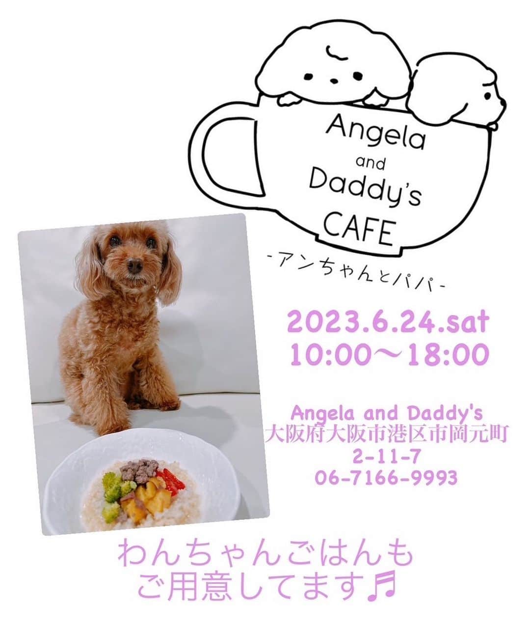 のインスタグラム：「明日（土） １０時から１８時 港区のドッグカフェで うちの奥さんが ローストビーフサンドやるみたい^_^ 素敵なドッグカフェなので 是非🎶」