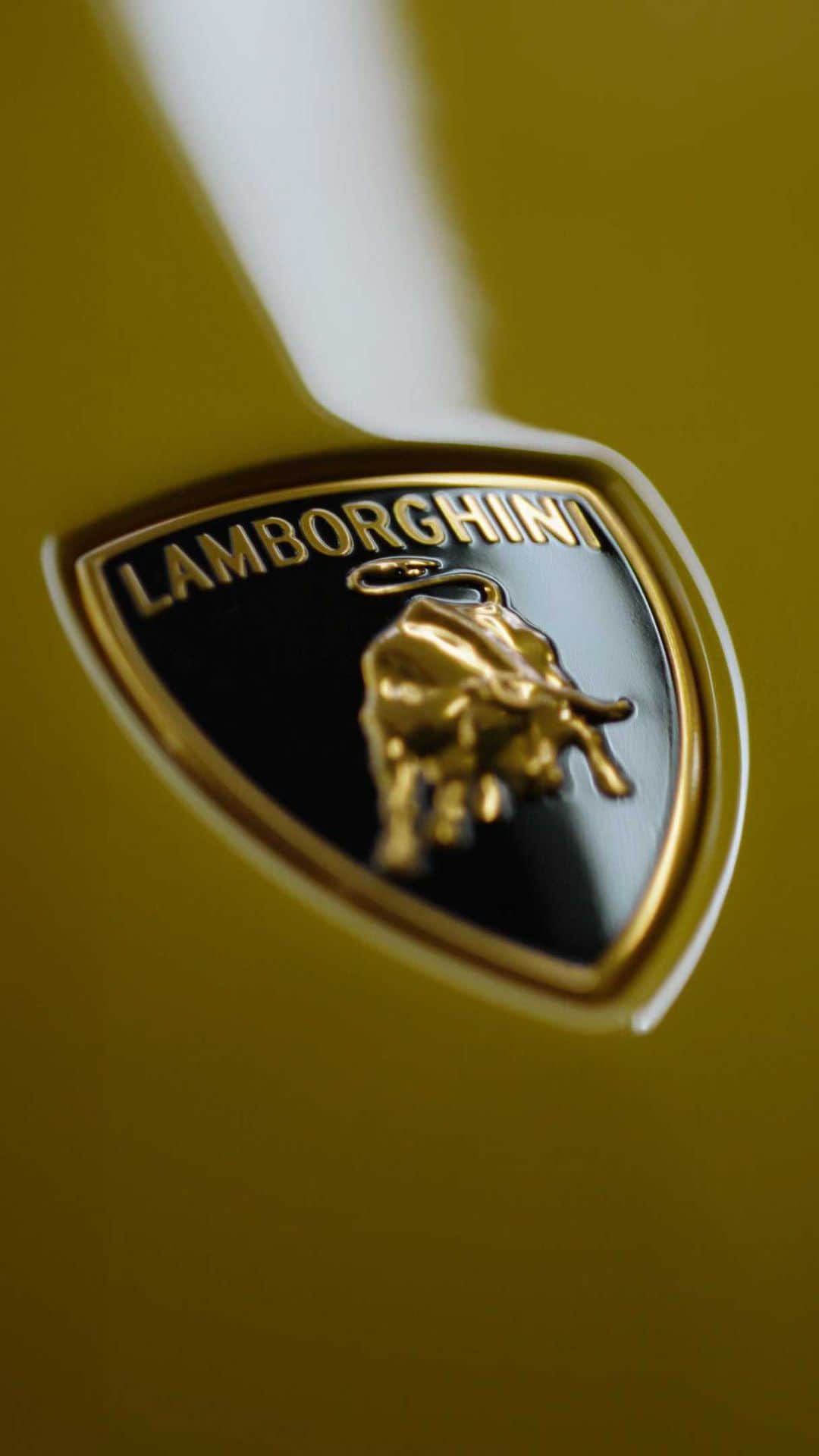 ランボルギーニのインスタグラム：「Where others see just a finishing line, we see the whole process.  Where others see vibrant colors, edgy designs and speed we recognize a game changer.  Where others see a Super Sports Car, we see the passion, ideas and efforts of the people behind.  Its silhouette, it’s shaped by all the stories of the people who have traveled our way.    Lamborghini is everyone who has shaped it.  Driving Humans Beyond.    #Lamborghini #DrivingHumansBeyond #TheFutureBeganIn1963」