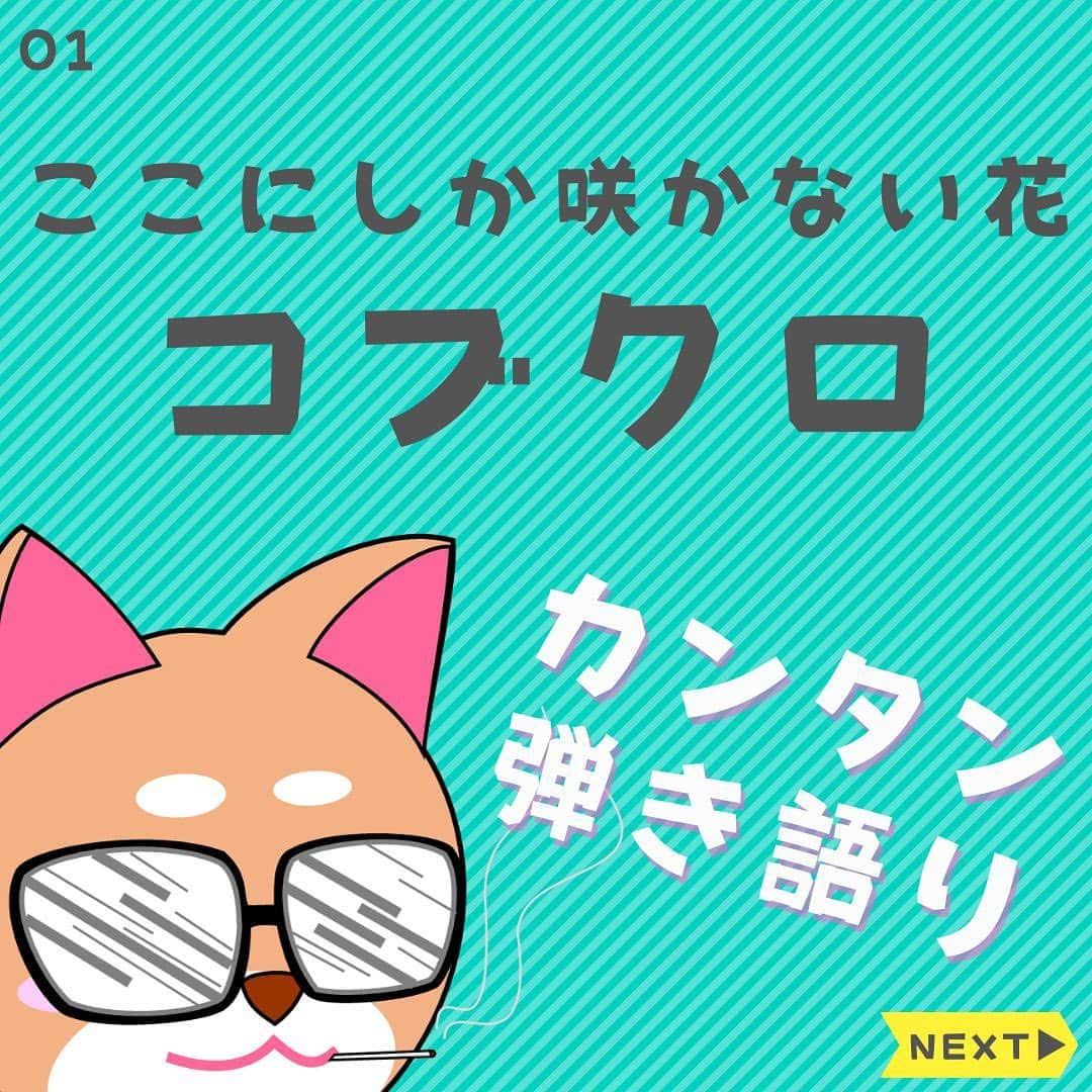 ダイゴさんのインスタグラム写真 - (ダイゴInstagram)「〜本日のYouTubeは【ここにしか咲かない花 / コブクロ】〜  皆さんこんばんは😎来る日も来る日も動画を作っているオーリーズDAIGOです🎥（もはや何屋さんかわからんっ🙌）  さて、ご存知の通り、YouTubeショート・TikTok・Instagramリール・フェイスブック共に、動画スタイルを変更しました✨  お陰様でコツコツではありますが、YouTubeも日々売上げが上がり、僕らのバンド活動資金にも余裕が出来て、大変助かっている今日この頃ですが・・・  「なんか物足りない！！！」  中でもTikTokの攻略がわからず、イライラしていた事もあり、思い切って動画の構成を変えてみましたが、直近の状況はというと・・・  「全然伸びんやんけ〜💦」  数千再生はサクッと行くだろう読んでたんですが・・・1000件も行かね〜😭まだまだ改善が必要なようですね✨（SNS舐めんなっ👋）  でもやっぱり「クオリティー」が全てだと思いますので、まだまだ修行が足りないようです💦こんなコンテンツですが、シャアして頂ければ犬の様に喜びます🐶（他力本願っ👋）  って事で本題に移りま〜す‼️本日のYouTube「オーリーズの音楽室」は【ここにしか咲かない花/コブクロ】です🎵  フルバージョンはこちら⤵︎ https://youtu.be/csaZwud5D6c  DAIGOの一人二役でお馴染みコブクロで〜す🎤  この曲は12個のコードで構成されていますが、押さえるポジション的にはそんなに難しくないんですよね〜🎸  弾きやすいようにギターのチューニングを半音下げて、コードをカンタンに変換‼️（何言ってるかわかります？）  ボーカルは天下のコブクロさんなので若干キーが高め・・・なので、カポなしで弾くと歌いやすいかもしれません🎤  コブクロの人気曲上位の曲なので、ぜひ練習してみてくださいね✨  ※アレンジしてますので、原曲のコードとは異なります。。  次回は「裸の心　/　あいみょん」です♫  毎日コツコツギター頑張りましょう🎸お疲れ様で〜す😎  【✨CD発売中でーす‼️】  アルバム名「HUMANS SHIP」 １. 後悔と始まりの歌 ２. 愛犬みき ３. ZERO CITY ４. 時間よ止まれ！ ５. オリオンの夜  販売会社　　：OLLIES RECORDS 発売日　　　：2022.9.1 先行販売　　：2022.8.1 価格（税込）：1500円※送料別 購入方法　　：オーリーズショップBASE https://ollies.base.shop/ （持って行ける距離であれば、メンバーがお届けにあがります🚴)  #theollies #オーリーズの音楽室 #ギター初心者 #アコギ初心者 #ギターコード #ギター初心者おすすめ #アコギ初心者おすすめ #弾き語り簡単な曲 #ギター簡単な曲 #コブクロ #ここにしか咲かない花」6月23日 19時07分 - olliesdaigo