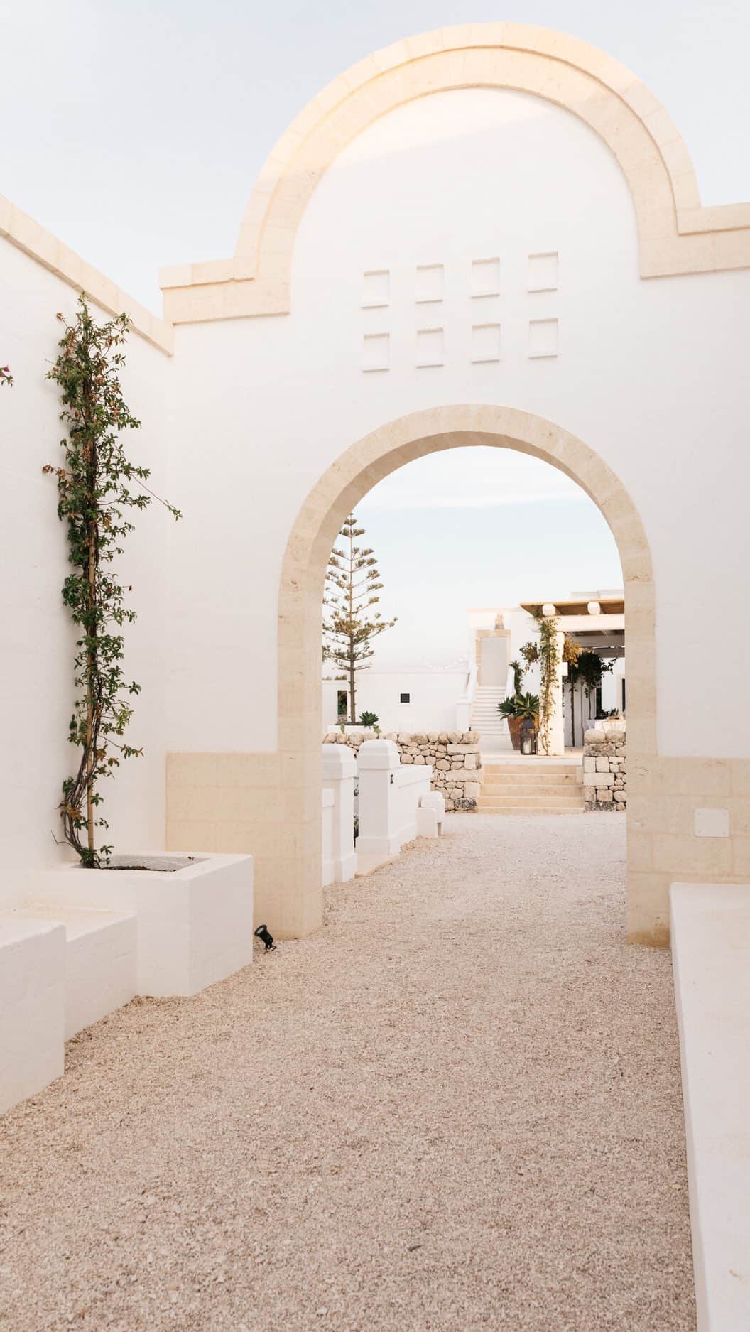 サンヌ・ヴロートのインスタグラム：「Reliving the last few days, this video brings me tears of joy! 🥺🍋  Thankyou to @pronovias & @pronoviasbeverlyhills for crafting this beautiful  gown, and making me feel I was in an Italian dream.  In between the ancient olive trees, our best friend @jasongorskie officiated the ceremony. No one could have captured our bond more beautifully. Thank you for your unconditional love and support. We adore you.  Video and editing by: @reinvandam & @robinsmitdos  #pronovias #pronoviasbride」