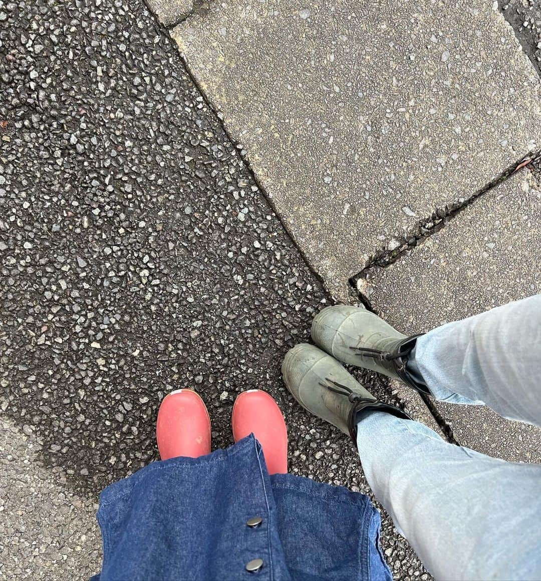 伊藤かな恵さんのインスタグラム写真 - (伊藤かな恵Instagram)「初めてブルーベリー狩りをした時の写真！  土砂降りでした笑笑  お母さんにカッパと長靴を借りてやったよ(๑╹ω╹๑ )  いっぱいとって、 モリモリ食べたよ٩( ᐛ )و  たのしかったぁー！  #ブルーベリー狩り #雨でもできる #お母さんと一緒 #伊藤かな恵」6月23日 19時24分 - kanae_1126_ito