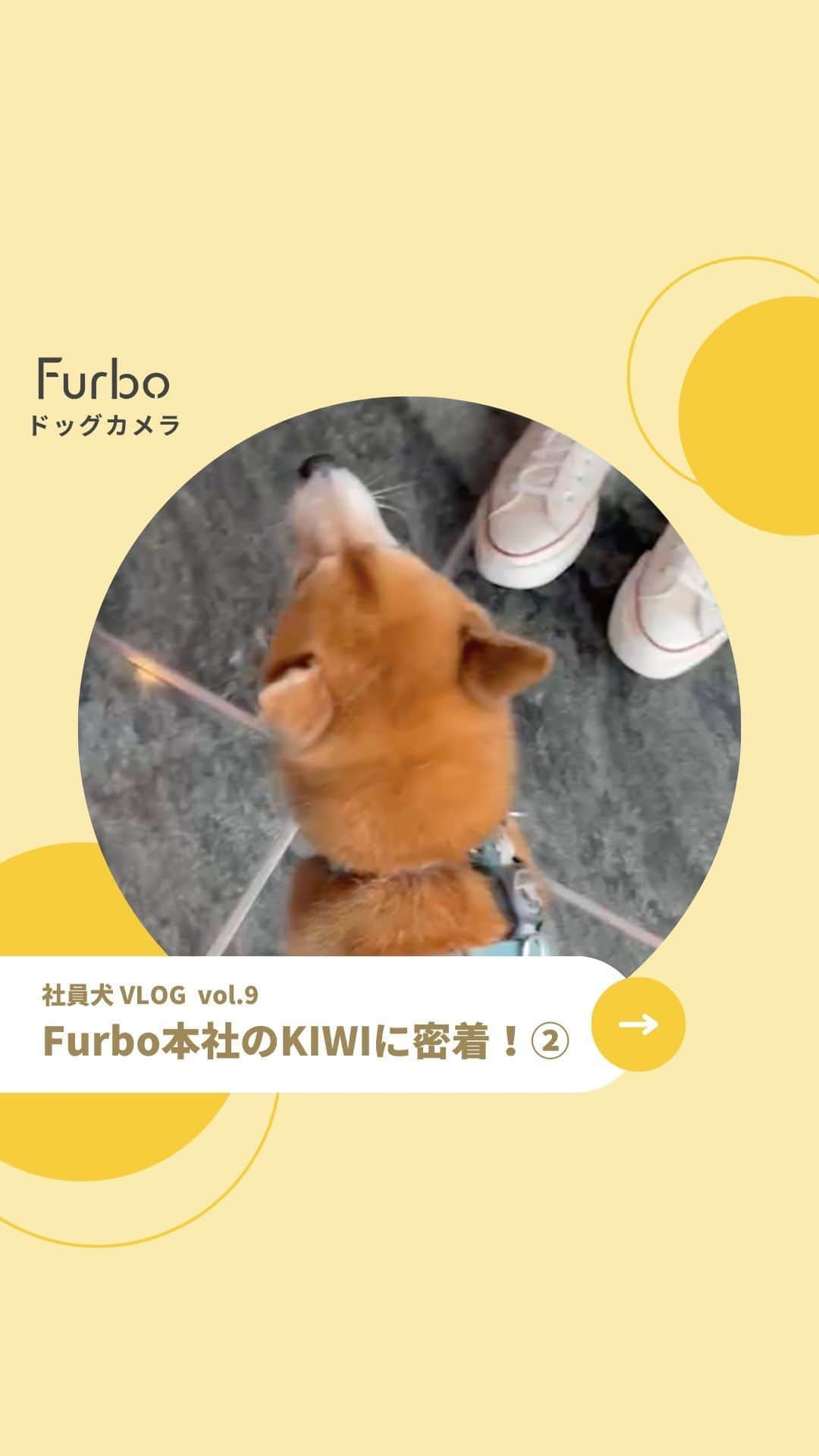 Furbo ドッグカメラのインスタグラム