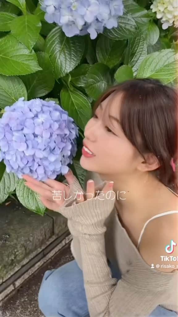 りーちゃんのインスタグラム：「俺を困らすAsian doll🌻  #清水翔太　#bdhop #fallin #紫陽花」