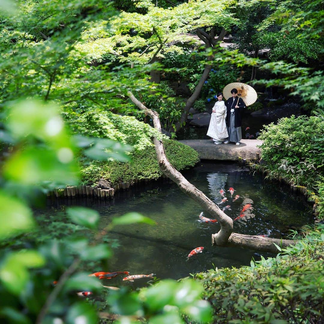 八芳園のインスタグラム：「6月の花嫁という意味の ジューンブライド（June Bride）💐  ヨーロッパでは古くから 「６月に結婚する花嫁は幸せになれる」と 言い伝えられているそうです。  JUNE（6月）の語源とされている ギリシャ神話の女神「JUNO」が 結婚や出産をつかさどる女神であること。  ヨーロッパでは昔 農業が最も忙しい時期である 3月から5月にかけては結婚式を禁じていて 6月に結婚する若者が多かったこと  などが由来とされています。  美しい緑が広がる６月の日本庭園でも、 幸せなお二人の笑顔が輝きます🕊✨  🍃🍃🍃  #八芳園 #日本庭園 #結婚式場 #結婚式  #junebride   #八芳園花嫁 #大人婚 #式場探し #東京花嫁 #関東花嫁 #2023秋婚 #和装 #白無垢  #プレ花嫁さんと繋がりたい #はち花 #前撮り  #和装前撮り #2023bride #2023wedding  #japanesegarden #tokyotokyo #tokyotrip #japan_of_insta #jp_mood #jp_gallery #dreamyphoto #wedding  #wonderful_places #bestphoto_japan #japan_daytime_view」