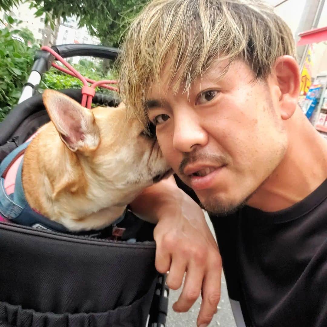 のインスタグラム：「こてつとお買い物。  #フレンチブルドッグ  #フレブル   これからもこてつと仲良しこよし。  #frenchbulldog #frenchbulldoglife #frenchbulldogsofinstagram #frenchie  #フレブルのいる生活 #犬スタグラム #犬好き #ドッグ #犬のいる暮らし」