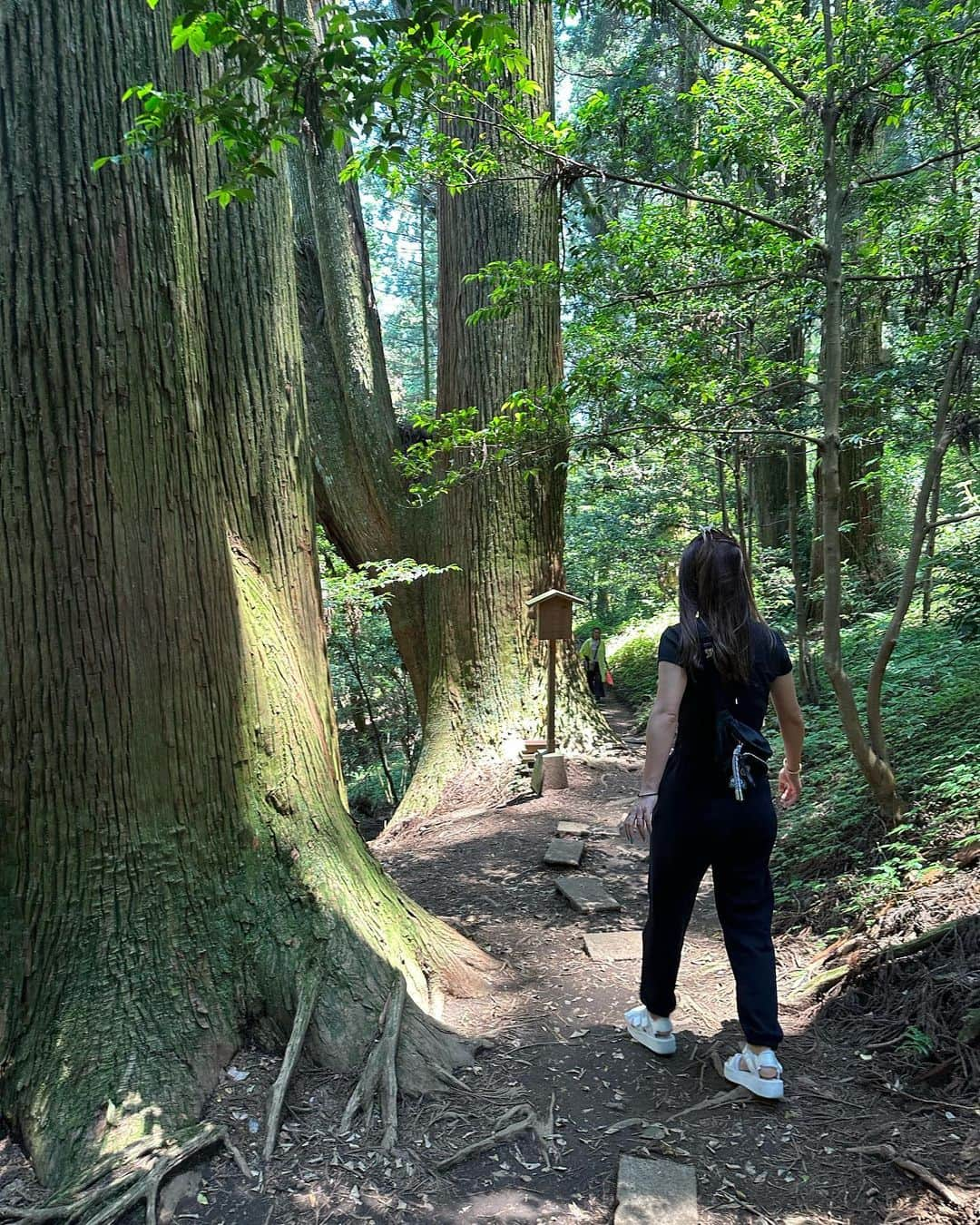 加賀其真美のインスタグラム：「めっちゃ気持ちーかった🌳🌳🌳 ． みんなの好きな神社教えて⛩️❤️」