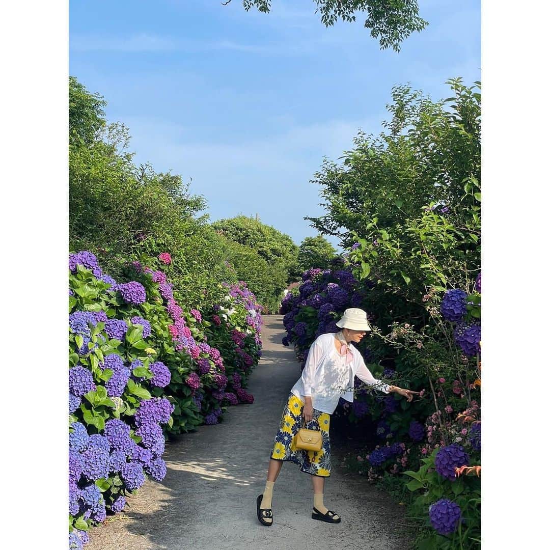 のインスタグラム：「. 오랜만에 전하는 일상 🤍  지금 제주는 수국의 계절  #KIMHEEAE #김희애 @yg_stage」