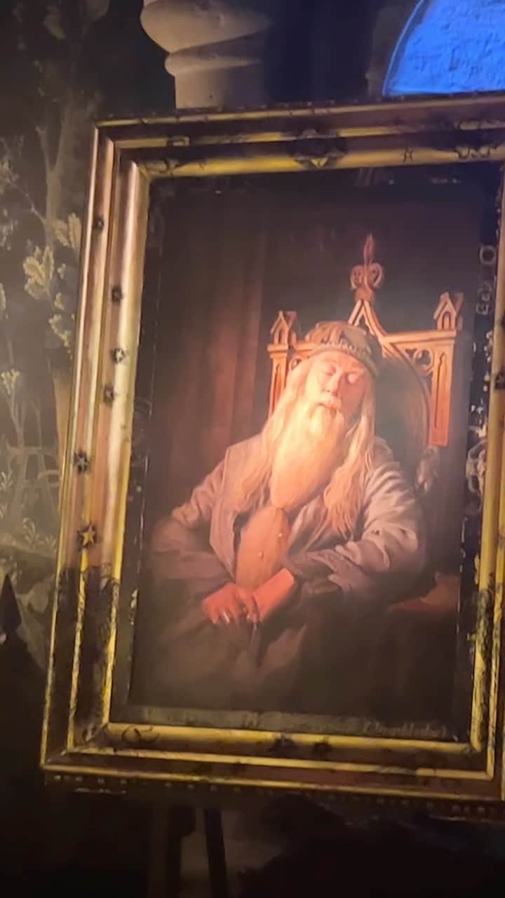 IMALUのインスタグラム：「ワーナー ブラザース スタジオツアー東京 ‐ メイキング・オブ・ハリー・ポッター🧙🪄  @wbtourtokyo #wbtourtokyo」