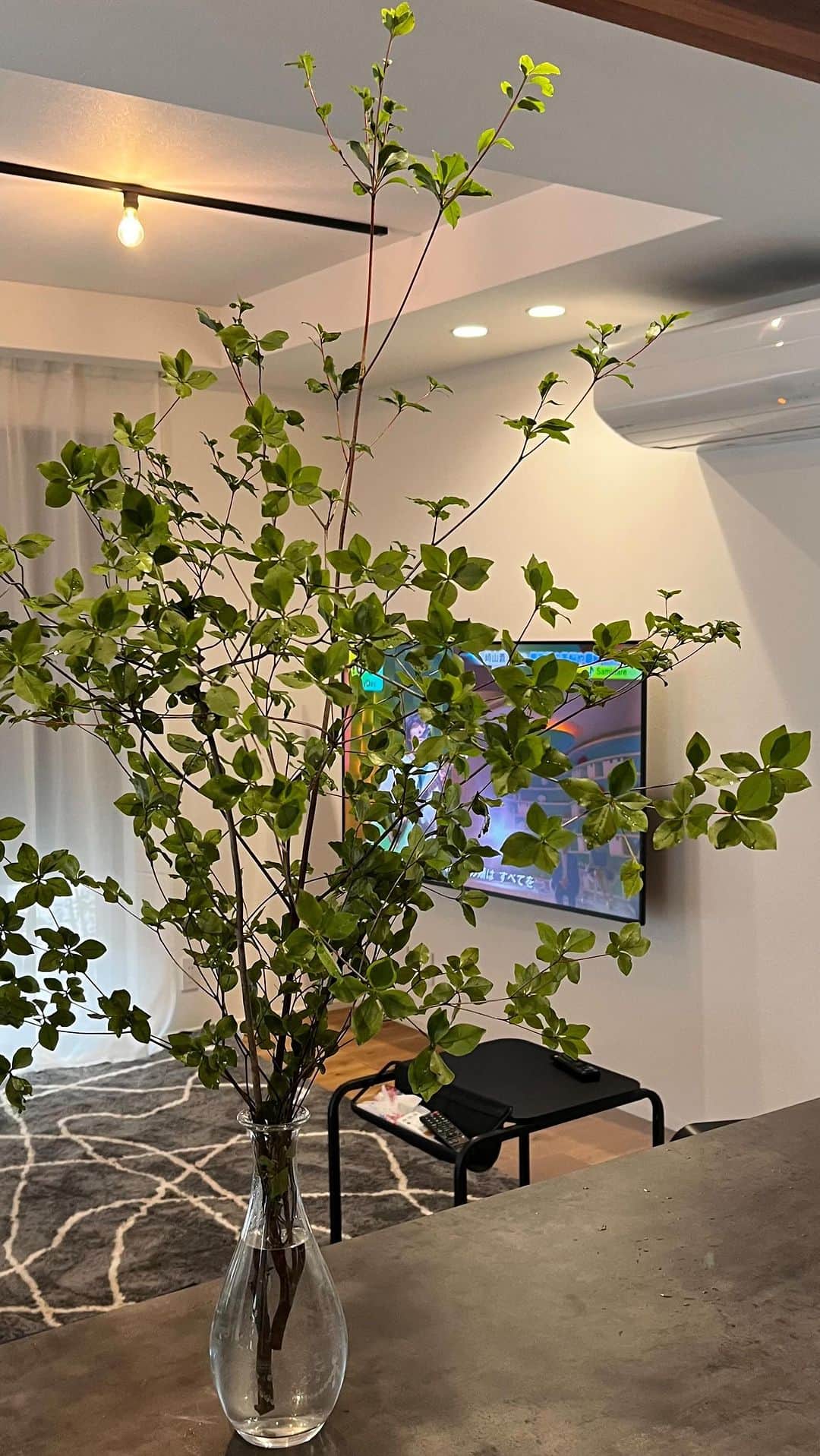こはるのインスタグラム：「小雨の中撮影📷  楽天で購入したドウダンツツジ4本が届きました🌿  余りに立派でフラワーベースぱんぱん😂  梱包も丁寧で取説も付いてて送料込の3280円は安い。  フラワーベースと手軽に枝切りできるオサレなノコギリも #楽天roomに載せてます   #instainterior #myhome #注文住宅 #枝物のある暮らし  #ドウダンツツジ #サンワカンパニー #おかえり洗面 #graftekt #ペニンシュラ #フラワーベースはニトリが安い #鉄骨階段 #スケルトン階段 #電動シャッター最高」