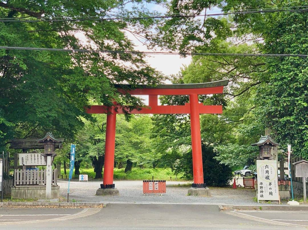 石井脩平さんのインスタグラム写真 - (石井脩平Instagram)「🍚 【ハイライト食堂】 衣笠店 「若鶏白雪カツ定食」660円 　 　 🍗 京都の学生達の胃袋は ほぼこのハイライトで満たされている。 と言っても過言では無い。 　 そんな存在。 百万遍に本店もあるから京大生にも馴染み深い。 というか市内に何店舗もあるもんねぇ。 1960年創業の老舗学生食堂。 　 　 ボクらも高校生の頃 土曜のお昼に学校終わって みんなでいつも行ってたハイライト。 立命館大学の方にちょっと歩いてった所。 白雪にするかチーズにするか言いながら。 　 この2階席の窓際のテーブルには 数え切れへんぐらい思い出が詰まってる。 そんなかけがえのない存在。 そんなお店。 　 ご飯大盛りは「J」 おかずも大盛りなら「JJ」 「白雪のJJ」でも当時はこのぐらいの値段。 それ考えたらリーズナブルが過ぎるなぁ。 いや今も充分リーズブルなんやけども。 　 　 　 🍳 今回多分15年ぶりぐらいに食べたんやろか。 やっぱり美味しいなぁ。 美味しいと言うか、そんなんを超えた なんか心の奥にグッと来るもんがあるなぁ。 　 　 この日、京都初日でたまたま、当時毎日一緒にいて常にこのハイライトでも一緒に食べてた親友が、グループLINEで「原点回帰や」「あの頃の俺らの熱い気持ちを…」とか偶然にも言うてて、なんかそんな気持ちになって食べに行きました。 まさに原点回帰の味。 　 僕なんかからしたら、みんな立派に仕事してて立派に家庭を持って、みんなほんますごいなぁと思うんやけど、それぞれの立場でみんなそれぞれの悩みやら葛藤を抱えてるし、気付けばそういう年齢にオレらもなってきてる証拠です。 　 　 ありがとう、ハイライト。 がんばれ、洛星ボーイズ。 おおきに、京都。 　 　 　 #ハイライト #ハイライト食堂 #若鶏の白雪カツ定食 #学生食堂 　 #洛星ボーイズ #我が平和なる学園 #衣笠の松しらべもゆかしく #京都の学生さん御用達 　 　 　 ⛩️ ついでに近所の平野神社の写真も。 ハイライトから北野天満宮に抜けれる神社。 平野神社にも思い出がいっぱい。 色んなことを思い出した。 　 　 ちょうど家から学校までのチャリンコでの通学路で真ん中らへんの場所。 いつも朝ドラの主題歌をテレビで聴いてから8:16に家を出て、8:25ギリギリに校門をくぐる為に8:20頃に猛ダッシュで駆け抜けてた神社。 　 　 個人的には東側の鳥居の方が好き。 朱色の方。 多分、裏側なんやろうけど 天神さん側のこっちの方が思い出深い。 そんな神社。  春の桜の頃には わざわざ学校から境内まで行って お弁当食べたりもしてた。 女の子とデートしたりもした。 その後、その子とお付き合いもした。 色んな思い出がよみがえる神社。 　 　 　 #平野神社 #夏越の祓い #茅の輪くぐり 　 #京都 #KYOTO #そうだ京都行こう #初夏の京都 　 #ボクらの町京都 #京都で原点回帰」6月23日 21時31分 - presidentchan141