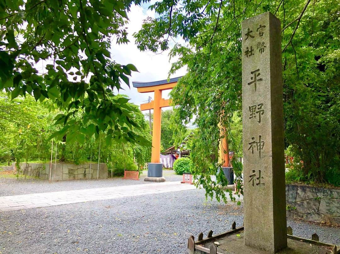 石井脩平さんのインスタグラム写真 - (石井脩平Instagram)「🍚 【ハイライト食堂】 衣笠店 「若鶏白雪カツ定食」660円 　 　 🍗 京都の学生達の胃袋は ほぼこのハイライトで満たされている。 と言っても過言では無い。 　 そんな存在。 百万遍に本店もあるから京大生にも馴染み深い。 というか市内に何店舗もあるもんねぇ。 1960年創業の老舗学生食堂。 　 　 ボクらも高校生の頃 土曜のお昼に学校終わって みんなでいつも行ってたハイライト。 立命館大学の方にちょっと歩いてった所。 白雪にするかチーズにするか言いながら。 　 この2階席の窓際のテーブルには 数え切れへんぐらい思い出が詰まってる。 そんなかけがえのない存在。 そんなお店。 　 ご飯大盛りは「J」 おかずも大盛りなら「JJ」 「白雪のJJ」でも当時はこのぐらいの値段。 それ考えたらリーズナブルが過ぎるなぁ。 いや今も充分リーズブルなんやけども。 　 　 　 🍳 今回多分15年ぶりぐらいに食べたんやろか。 やっぱり美味しいなぁ。 美味しいと言うか、そんなんを超えた なんか心の奥にグッと来るもんがあるなぁ。 　 　 この日、京都初日でたまたま、当時毎日一緒にいて常にこのハイライトでも一緒に食べてた親友が、グループLINEで「原点回帰や」「あの頃の俺らの熱い気持ちを…」とか偶然にも言うてて、なんかそんな気持ちになって食べに行きました。 まさに原点回帰の味。 　 僕なんかからしたら、みんな立派に仕事してて立派に家庭を持って、みんなほんますごいなぁと思うんやけど、それぞれの立場でみんなそれぞれの悩みやら葛藤を抱えてるし、気付けばそういう年齢にオレらもなってきてる証拠です。 　 　 ありがとう、ハイライト。 がんばれ、洛星ボーイズ。 おおきに、京都。 　 　 　 #ハイライト #ハイライト食堂 #若鶏の白雪カツ定食 #学生食堂 　 #洛星ボーイズ #我が平和なる学園 #衣笠の松しらべもゆかしく #京都の学生さん御用達 　 　 　 ⛩️ ついでに近所の平野神社の写真も。 ハイライトから北野天満宮に抜けれる神社。 平野神社にも思い出がいっぱい。 色んなことを思い出した。 　 　 ちょうど家から学校までのチャリンコでの通学路で真ん中らへんの場所。 いつも朝ドラの主題歌をテレビで聴いてから8:16に家を出て、8:25ギリギリに校門をくぐる為に8:20頃に猛ダッシュで駆け抜けてた神社。 　 　 個人的には東側の鳥居の方が好き。 朱色の方。 多分、裏側なんやろうけど 天神さん側のこっちの方が思い出深い。 そんな神社。  春の桜の頃には わざわざ学校から境内まで行って お弁当食べたりもしてた。 女の子とデートしたりもした。 その後、その子とお付き合いもした。 色んな思い出がよみがえる神社。 　 　 　 #平野神社 #夏越の祓い #茅の輪くぐり 　 #京都 #KYOTO #そうだ京都行こう #初夏の京都 　 #ボクらの町京都 #京都で原点回帰」6月23日 21時31分 - presidentchan141