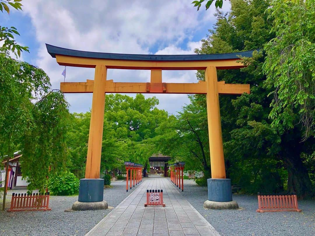 石井脩平さんのインスタグラム写真 - (石井脩平Instagram)「🍚 【ハイライト食堂】 衣笠店 「若鶏白雪カツ定食」660円 　 　 🍗 京都の学生達の胃袋は ほぼこのハイライトで満たされている。 と言っても過言では無い。 　 そんな存在。 百万遍に本店もあるから京大生にも馴染み深い。 というか市内に何店舗もあるもんねぇ。 1960年創業の老舗学生食堂。 　 　 ボクらも高校生の頃 土曜のお昼に学校終わって みんなでいつも行ってたハイライト。 立命館大学の方にちょっと歩いてった所。 白雪にするかチーズにするか言いながら。 　 この2階席の窓際のテーブルには 数え切れへんぐらい思い出が詰まってる。 そんなかけがえのない存在。 そんなお店。 　 ご飯大盛りは「J」 おかずも大盛りなら「JJ」 「白雪のJJ」でも当時はこのぐらいの値段。 それ考えたらリーズナブルが過ぎるなぁ。 いや今も充分リーズブルなんやけども。 　 　 　 🍳 今回多分15年ぶりぐらいに食べたんやろか。 やっぱり美味しいなぁ。 美味しいと言うか、そんなんを超えた なんか心の奥にグッと来るもんがあるなぁ。 　 　 この日、京都初日でたまたま、当時毎日一緒にいて常にこのハイライトでも一緒に食べてた親友が、グループLINEで「原点回帰や」「あの頃の俺らの熱い気持ちを…」とか偶然にも言うてて、なんかそんな気持ちになって食べに行きました。 まさに原点回帰の味。 　 僕なんかからしたら、みんな立派に仕事してて立派に家庭を持って、みんなほんますごいなぁと思うんやけど、それぞれの立場でみんなそれぞれの悩みやら葛藤を抱えてるし、気付けばそういう年齢にオレらもなってきてる証拠です。 　 　 ありがとう、ハイライト。 がんばれ、洛星ボーイズ。 おおきに、京都。 　 　 　 #ハイライト #ハイライト食堂 #若鶏の白雪カツ定食 #学生食堂 　 #洛星ボーイズ #我が平和なる学園 #衣笠の松しらべもゆかしく #京都の学生さん御用達 　 　 　 ⛩️ ついでに近所の平野神社の写真も。 ハイライトから北野天満宮に抜けれる神社。 平野神社にも思い出がいっぱい。 色んなことを思い出した。 　 　 ちょうど家から学校までのチャリンコでの通学路で真ん中らへんの場所。 いつも朝ドラの主題歌をテレビで聴いてから8:16に家を出て、8:25ギリギリに校門をくぐる為に8:20頃に猛ダッシュで駆け抜けてた神社。 　 　 個人的には東側の鳥居の方が好き。 朱色の方。 多分、裏側なんやろうけど 天神さん側のこっちの方が思い出深い。 そんな神社。  春の桜の頃には わざわざ学校から境内まで行って お弁当食べたりもしてた。 女の子とデートしたりもした。 その後、その子とお付き合いもした。 色んな思い出がよみがえる神社。 　 　 　 #平野神社 #夏越の祓い #茅の輪くぐり 　 #京都 #KYOTO #そうだ京都行こう #初夏の京都 　 #ボクらの町京都 #京都で原点回帰」6月23日 21時31分 - presidentchan141