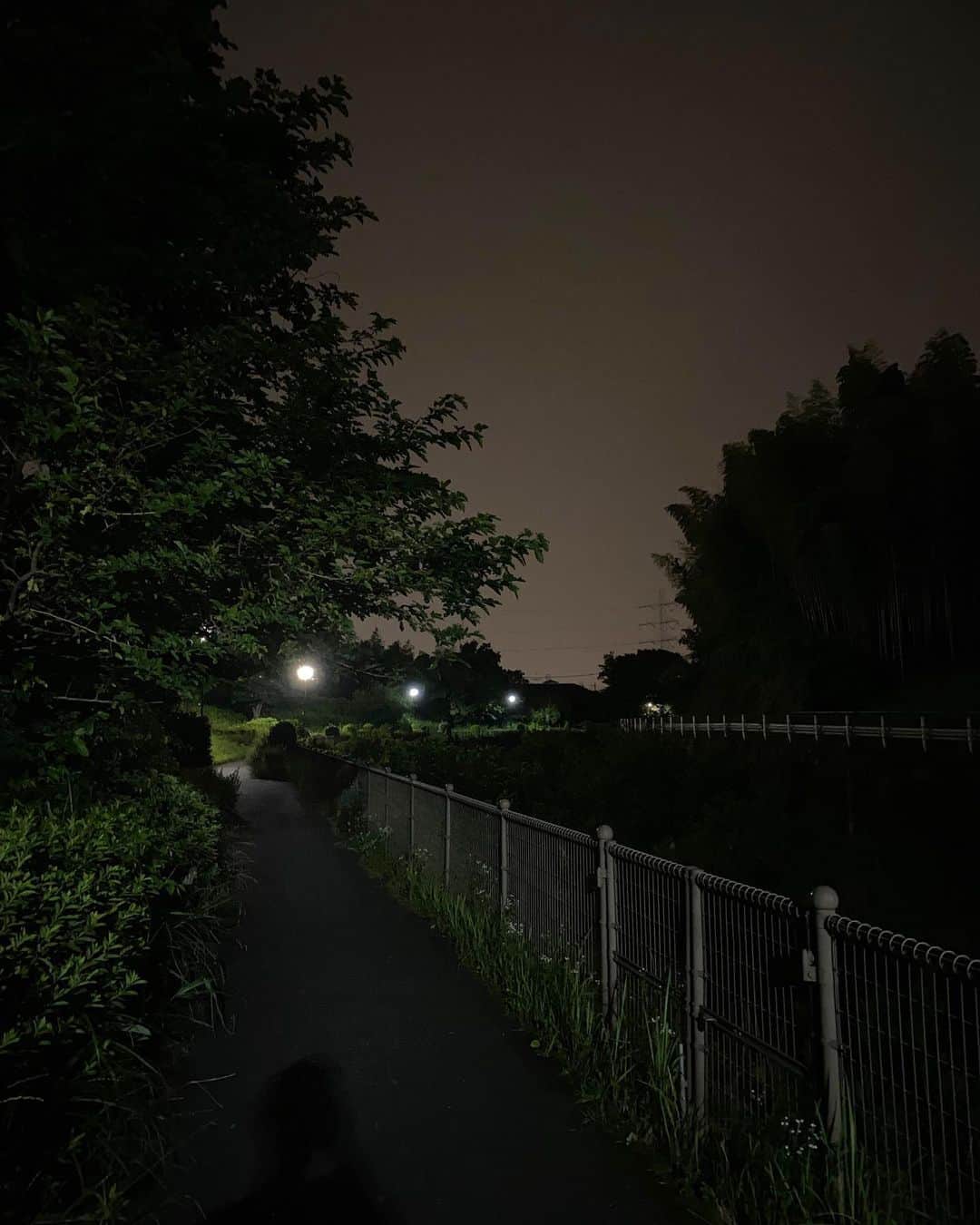 エドツワキさんのインスタグラム写真 - (エドツワキInstagram)「Night walk alone BGM : Raw silk uncut wood by #laurelhalo」6月23日 21時40分 - ed_tsuwaki