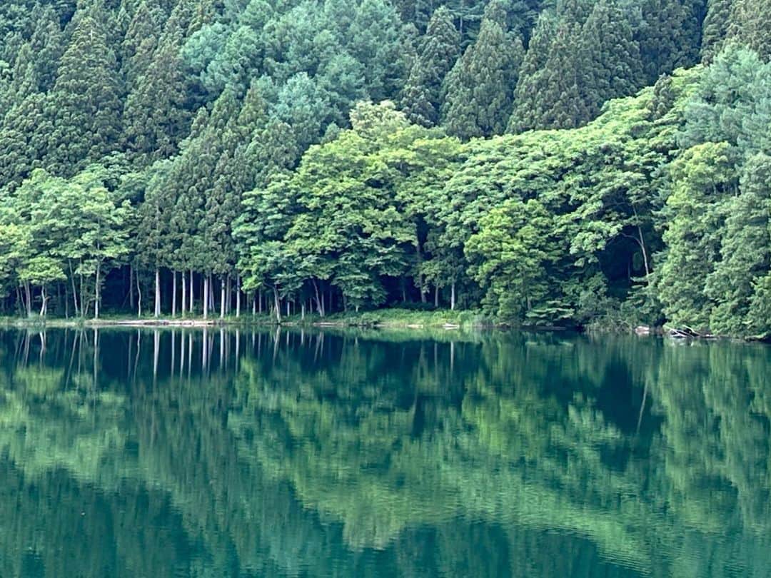 早坂香須子さんのインスタグラム写真 - (早坂香須子Instagram)「仁科三湖のひとつ、中綱湖畔は数年前に訪れたフィンランドを思い起こす場所。」6月23日 21時38分 - kazukovalentine