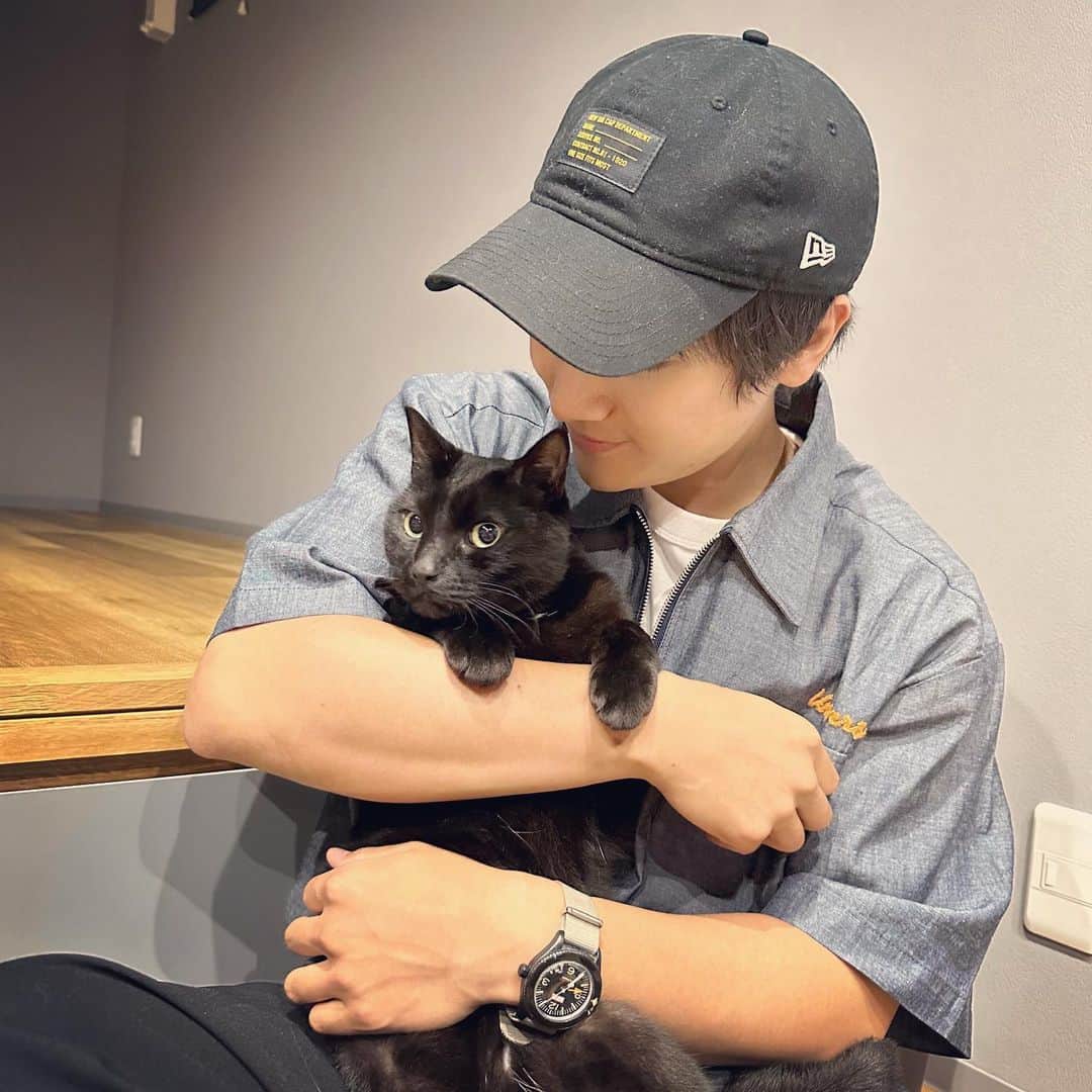 本田剛文さんのインスタグラム写真 - (本田剛文Instagram)「落ち着きの黒 わんぱくの白  今日も可愛い弟たちです。  #猫 #猫好き #猫のいる暮らし  #猫好きさんと繋がりたい #ねこすたぐらむ  #ボイメン #本田剛文」6月23日 21時39分 - boymen_honda