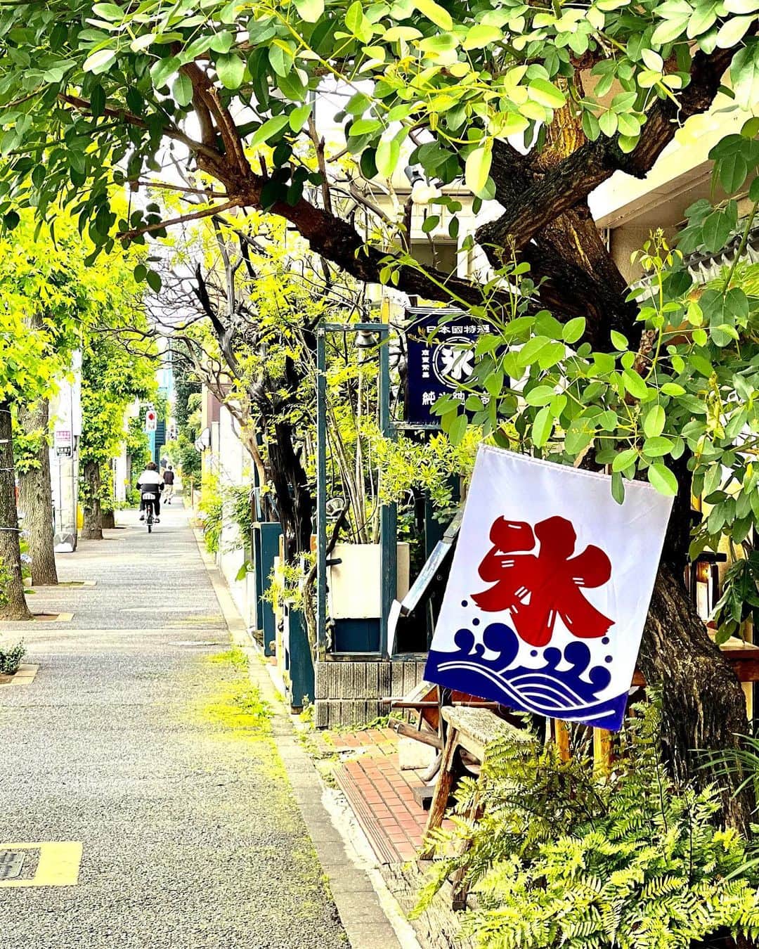 渡辺達生のインスタグラム：「2023.06.23…柿の木坂辺りにも夏がきそうだよ…早く晴れろ〜☀️ #tatsuowatanabe」