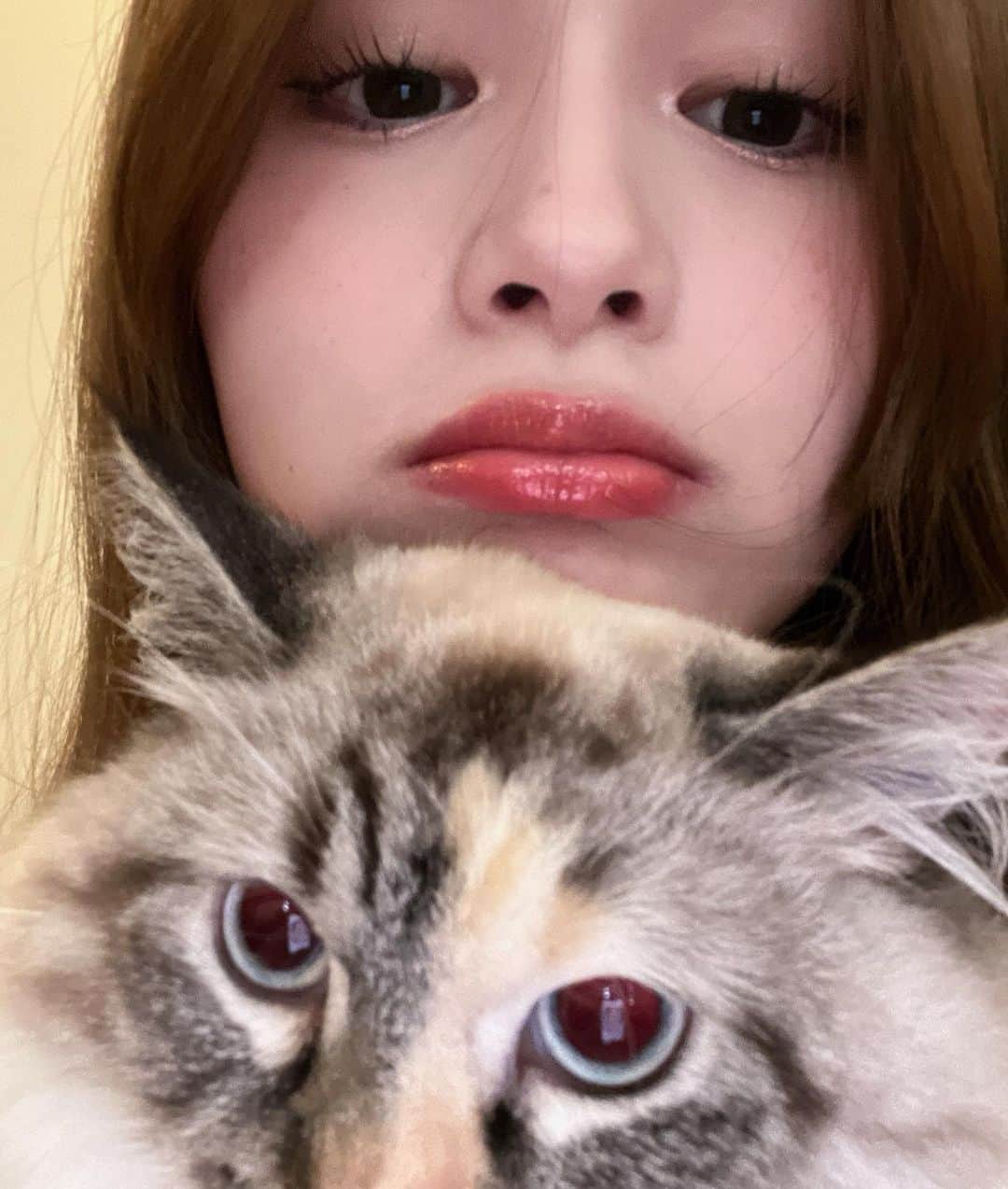 椎名亜美のインスタグラム：「一緒に写真撮ってくれた🥹💞 （猫ちゃんの目が赤いのはアルビノです）」