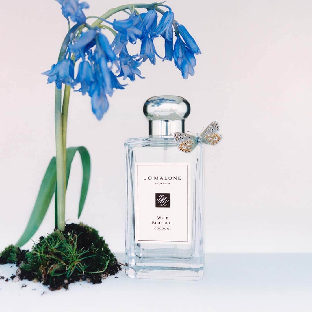 Jo Malone Londonさんのインスタグラム写真 - (Jo Malone LondonInstagram)「Wildly wonderful. Wild Bluebell captures vibrant sapphire flowers gently blooming in a shaded, secluded woodland. Tap to shop the dewy and delicate scent. #DeclareYourScent」6月23日 22時50分 - jomalonelondon