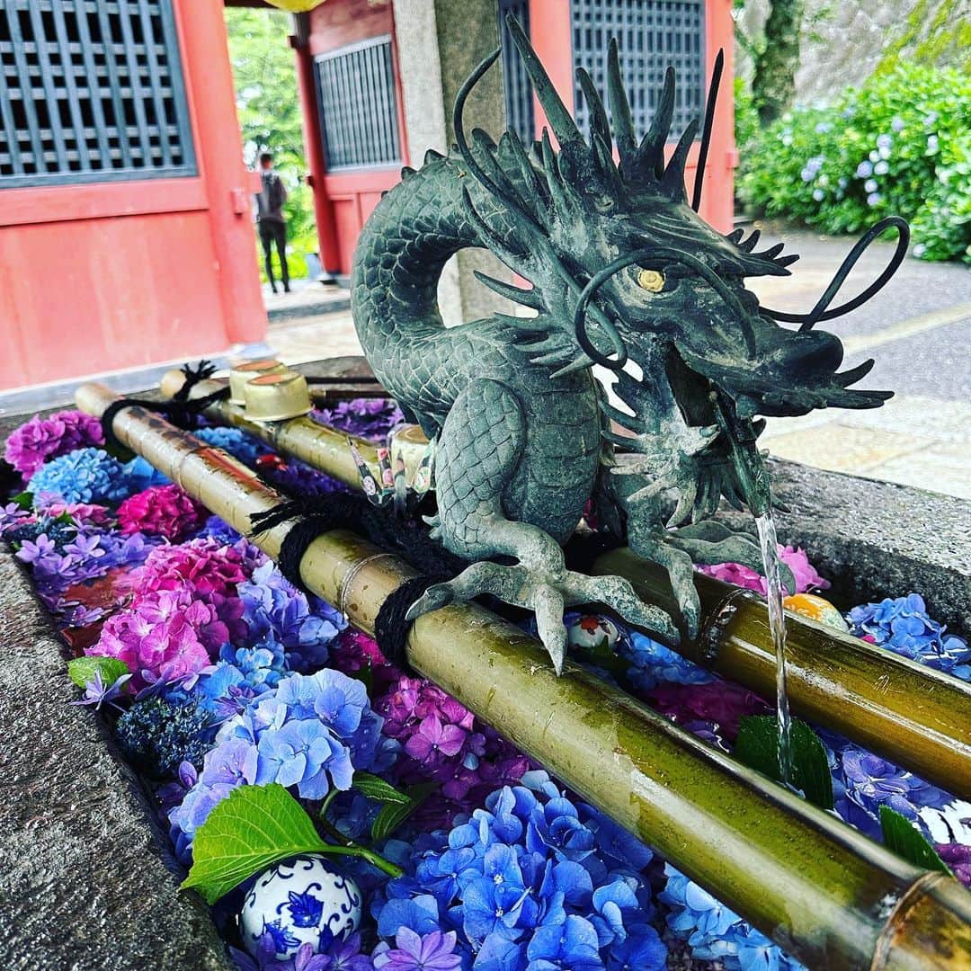出雲阿国のインスタグラム：「雨引観音様をお薦めしていただき お参りへ❤️  美し過ぎる！ 紫陽花を楽しむのは 梅雨のこの時期の本当贅沢な時間❤️  紫陽花は 金運アップフラワーでもあるので 運気上がると良いな❤️  沢山 遊んで食べて温泉入りまくって 大笑いして幸せなお休みでした❤️  #雨引観音 #雨引観音あじさい祭 #紫陽花 #紫陽花寺 #開運ずもトラベル　#茨城県」
