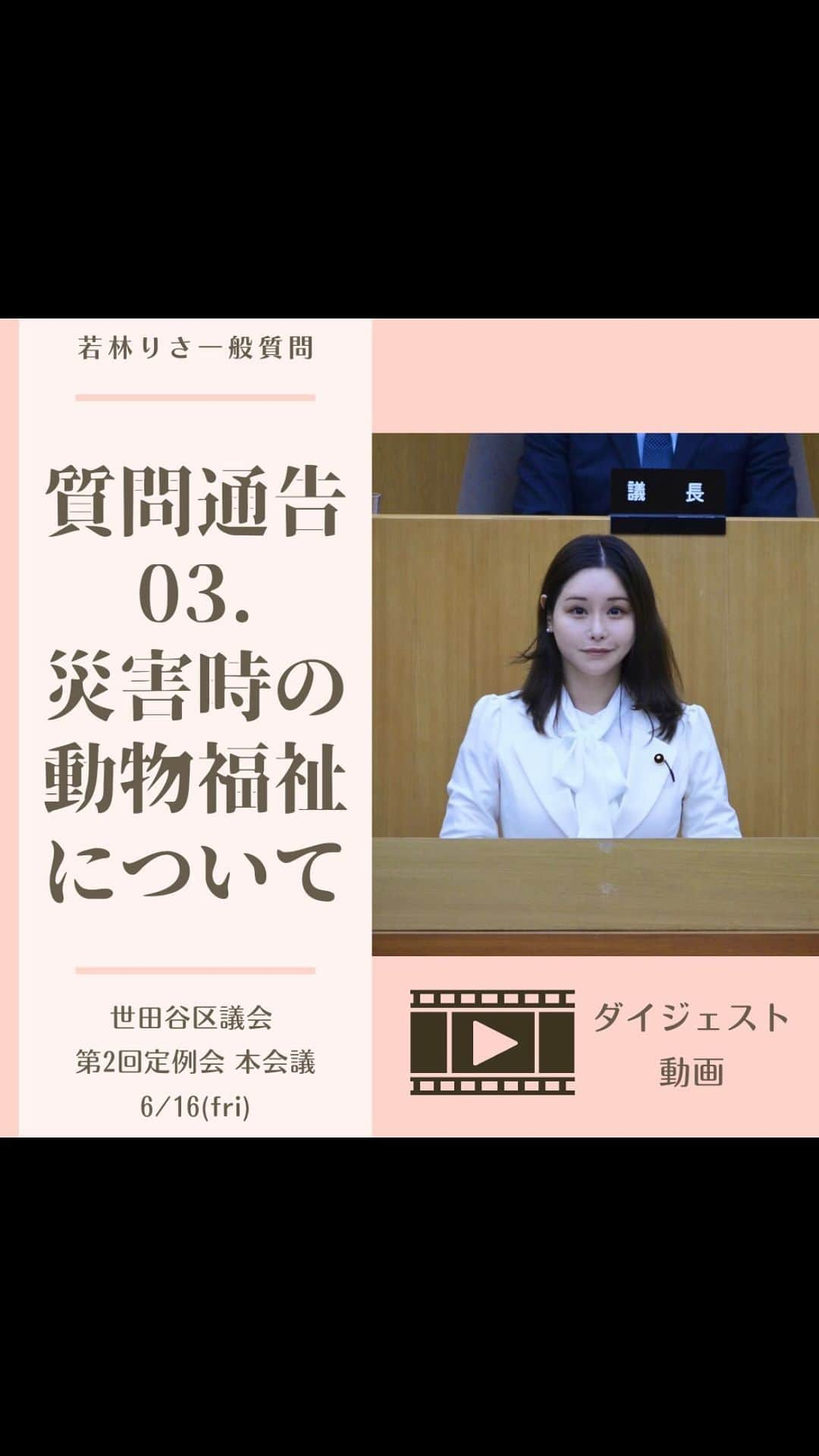 利咲のインスタグラム：「3. 災害時の動物福祉について 次に「災害時の動物福祉について」です。 動物福祉については選挙公約にも掲げました通り、積極的にどんどん取り上げていくつもりです。 今回私が質問した内容は、未だかつて誰も取り上げていない内容を切り込むことが出来ました！（基本的に議会で既に取り上げて話し合われたものについて同じ内容を繰り返すのは良いことではないのです）  現在、災害時にペットフードやケージなどの備蓄をどの程度されているか等伺いましたが、現状は“全くない”とのこと。 世田谷区は犬の登録頭数が40,000頭と、23区内で最もペットの飼育数が一位という現状の中、このままで良いの？と思います。 確かに、基本的にはペットの飼育に必要なものは飼い主が用意しておくべきであるということは承知しておりますが、環境省の「自治体等が行う人とペットの災害対策」においては、「自治体もペットフードなどの備蓄品を用意しておくことが望ましい」と記載があります。 そして、突然の災害時にペットフードやケージ等と一緒に避難出来ない可能性は容易に想定ができますし、これだけペットの飼育数が多いということはペットと避難所を訪れるご家族の方も多いということも想定出来るからです。 また、世田谷区は木造住宅もいまだに多く、避難用のペット用品を備蓄していたとしても緊急時に取り出せないという状況も想定が出来ます。 様々なシュミレーションの下、最低限のペット用品の備蓄をして頂きたいことを再質問にて要望致しました。 動物と共生出来る社会、安心して暮らせる街づくりを目指して頑張ります。（再質問動画は後ほどアップします）  また、物的リソースだけでなく、人的リソースも必要不可欠と考える為、世田谷区が行っている「被災動物ボランティア」に関する周知、拡大への取り組みも見解を伺いました。こちらは募集はしているものの、郵送や持ち込み、FAXのみの対応となっており、これだと申請側のハードルが高く、周知拡大に関しても隔たりがあると感じます。 行政のDXと共に進めていくものではありますが、引き続き電子申請の導入に向けた検討を周知の強化とともにボランティアの登録数を増やすように努めると回答は得られました。  《質問4へつづきます》  #若林りさ #日本維新の会 #世田谷区  #世田谷区議会 #世田谷区議会議員 #世田谷区役所 #新人議員 #一般質問 #本会議 #第2回定例会 #setagaya #災害時の動物福祉について #動物福祉 #動物愛護 #アニマルウェルフェア #animalwelfare #動物はモノじゃない  #災害対策」