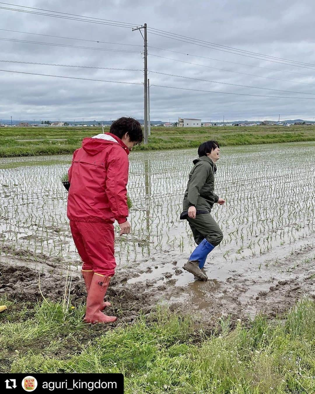 HBC北海道放送アナウンス部さんのインスタグラム写真 - (HBC北海道放送アナウンス部Instagram)「. 森結有花です👩‍🌾  あぐり王国はおかげさまで７月に15周年を迎えます！  北海道農業への感謝を込めて楽しくお祝いすべく、 素敵なゲストをお迎えしました☺️  放送は７月１日です。 その前に明日のあぐり王国もご覧くださいね🙏  #Repost @aguri_kingdom with @use.repost ・・・ 🎉㊗️あぐり15周年㊗️🎉  皆さまのおかげで7月1日で15周年を迎えます‼️ 日頃応援いただき、ありがとうございます🙇‍♀️  そして‼️記念すべき１５周年初回のゲストは… 自称"子ナックス"のSixTONES・松村北斗さん✨  🖤大好きな森崎リーダーと初めて尽くしの 「農業おもてなしツアー」🚌  🖤冒頭からナックス愛が止まらない🔥 『#そんなのNACS応援歌』を熱唱するほっくんに リーダーの反応は…  🖤人生初の稲の手植えに挑戦🌾その腕前はいかに⁉️  🖤絶景を眺めながら、富良野が誇る和牛＆お米に舌鼓😋  "子ナックス”全開で北海道の農業に触れる ほっくんの表情にもご注目を😳  7月1日(土)ごご5時から放送📺 TVerもスタート！！  #あぐり王国北海道next  #hbcテレビ  #TEAMNACS #森崎博之 #森結有花 #SixTONES #松村北斗  #子ナックスさんと繋がりたい」6月23日 23時09分 - hbc_announcer