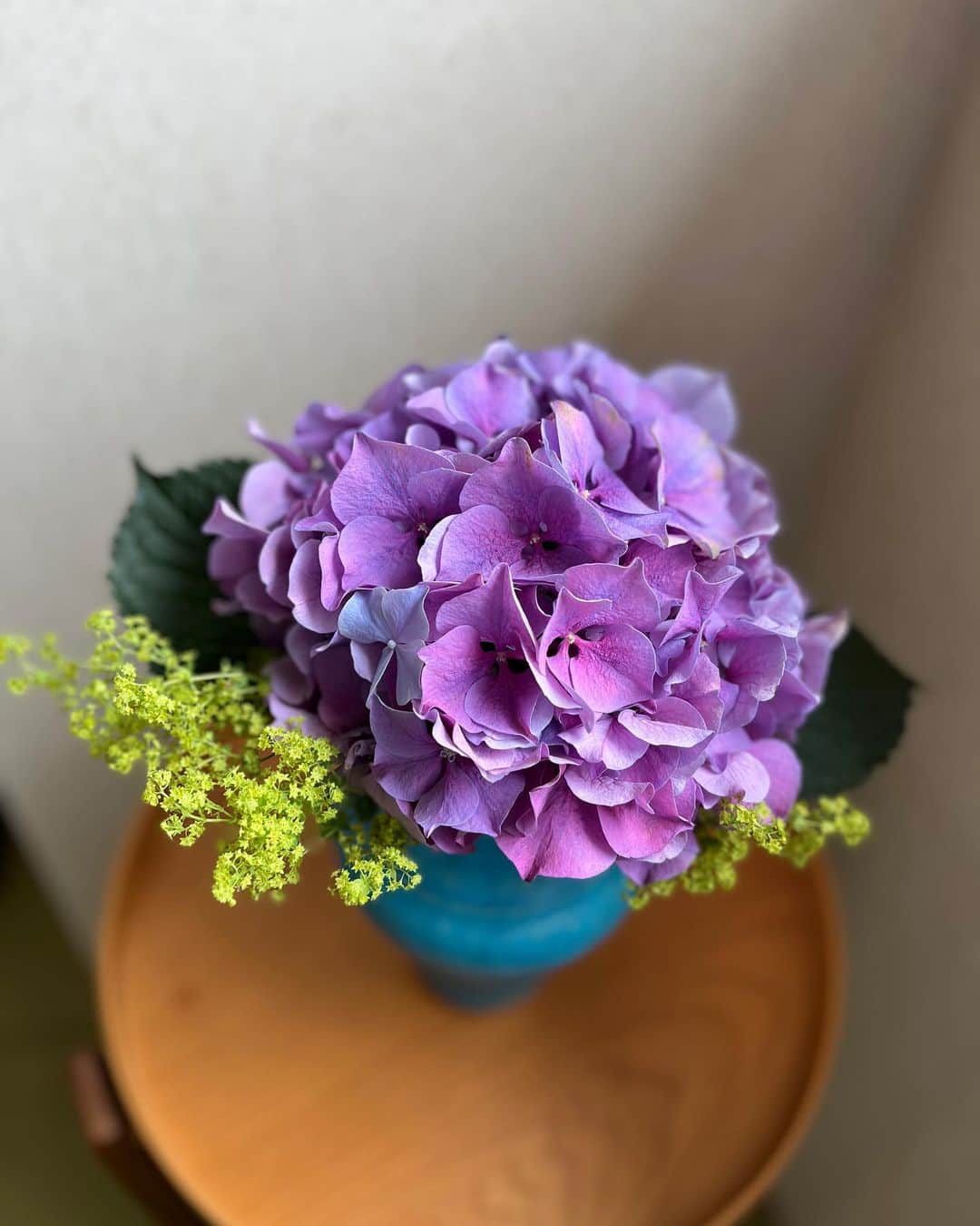 福田葉子さんのインスタグラム写真 - (福田葉子Instagram)「降りそうで降らない、なんだかはっきりしない梅雨ですね…。 芍薬から紫陽花へと、好きな花リレー状態。青紅葉など新緑も美しい、好きな季節でもあります。 #hydrangea #rainy #june #season #flowers #紫陽花　#あじさい　#アジサイ　#お花　#梅雨　#新緑　#好きな季節　#花のある暮らし」6月23日 23時30分 - yoyoyokoko