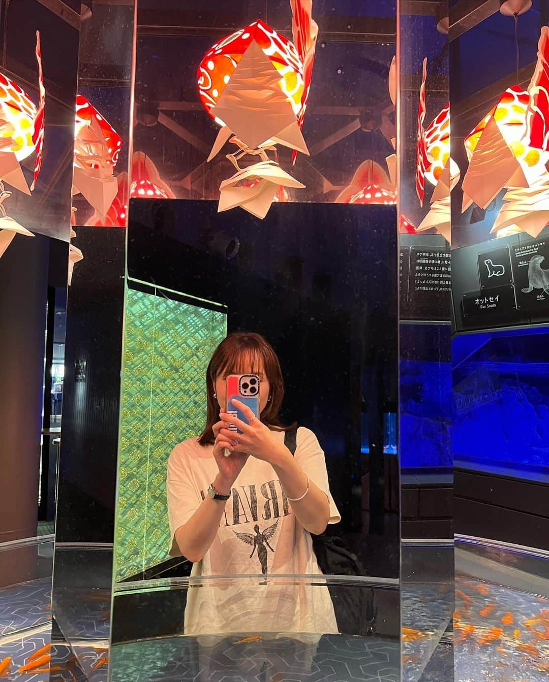 SHUUBIさんのインスタグラム写真 - (SHUUBIInstagram)「絶景の「博多もつ鍋」でした🍻久々のスカイツリー、ソラマチは思った以上に楽しかったです。  #すみだ水族館  　　  初めて行ったけど めちゃ癒されました✨🐟  ペンギン🐧かわいかったなぁ  他にも行ってみたい場所いっぱいあったりして時間が足りない！！！笑  またゆっくり遊びに来たいと思いました☺️  #東京スカイツリー #東京スカイツリーソラマチ #博多もつ鍋 #ありつきもつ鍋 #ビール #すみだ水族館 #ペンギン #金魚 #癒された #くらげ #綺麗  #shuubi」6月23日 23時36分 - shuubihidemi