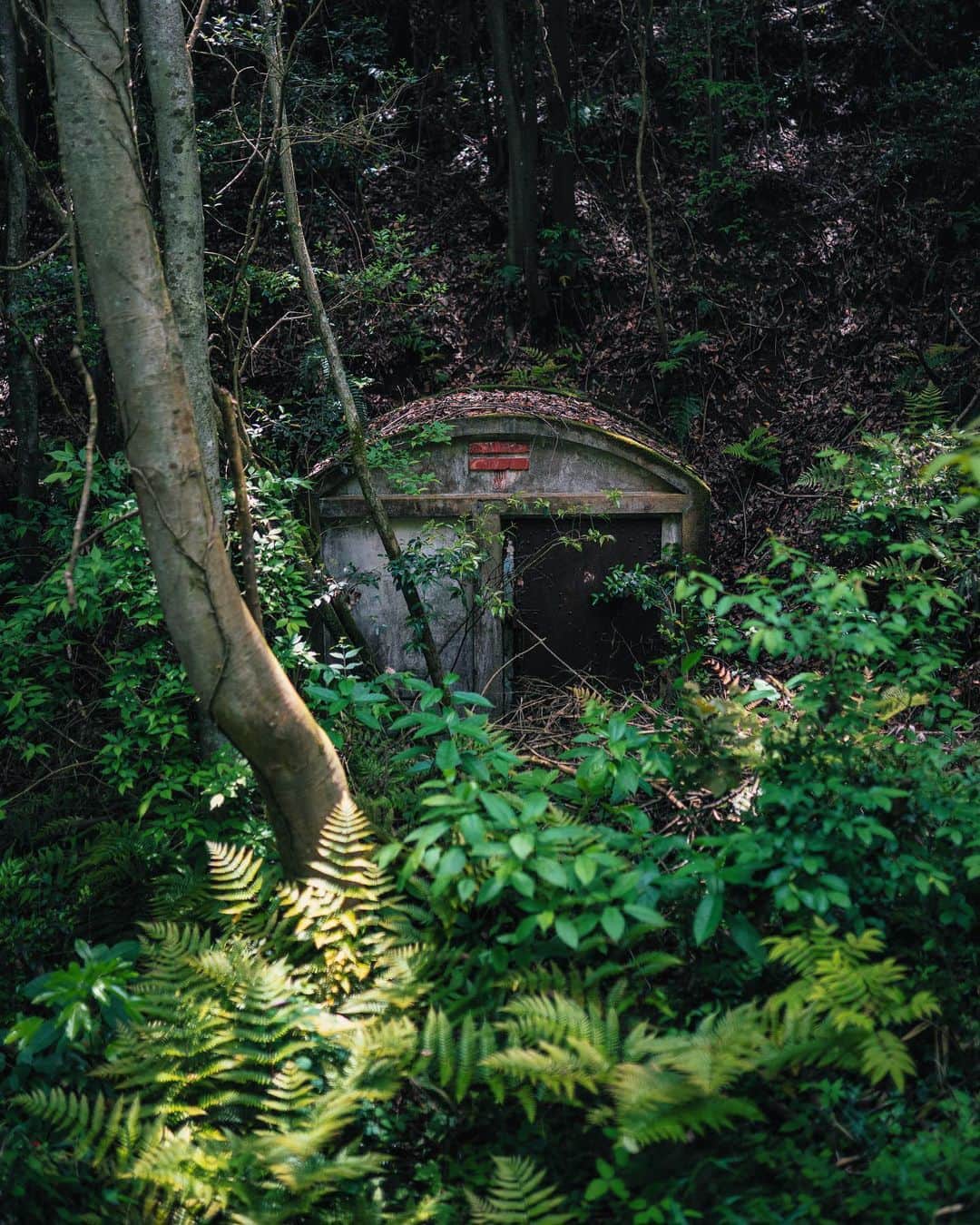 啝 （わ）のインスタグラム：「Gateway to Wonder 𓆲 𓆲 𓆲 #_passion_urbex_ #abandon_seekers_ #abandoned_addiction #abandonedcreeps #all_is_abandoned #ascosi_lasciti #decay_explorers #discarded_butnot_forgotten #fadedbeautyindecay #global_urbex #gloriousdecay #grime_lords #ig_urbex #lonely_and_abandoned_2 #masters_in_decay #nature_takes_over #raw_abandoned #rsa_preciousjunk #t_m_u_c #urbex_utopia #urbex_wereldwijd #urbexhero #world_wide_urbex #廃墟 #廃墟写真 #廃墟美 #ケーブルハット」