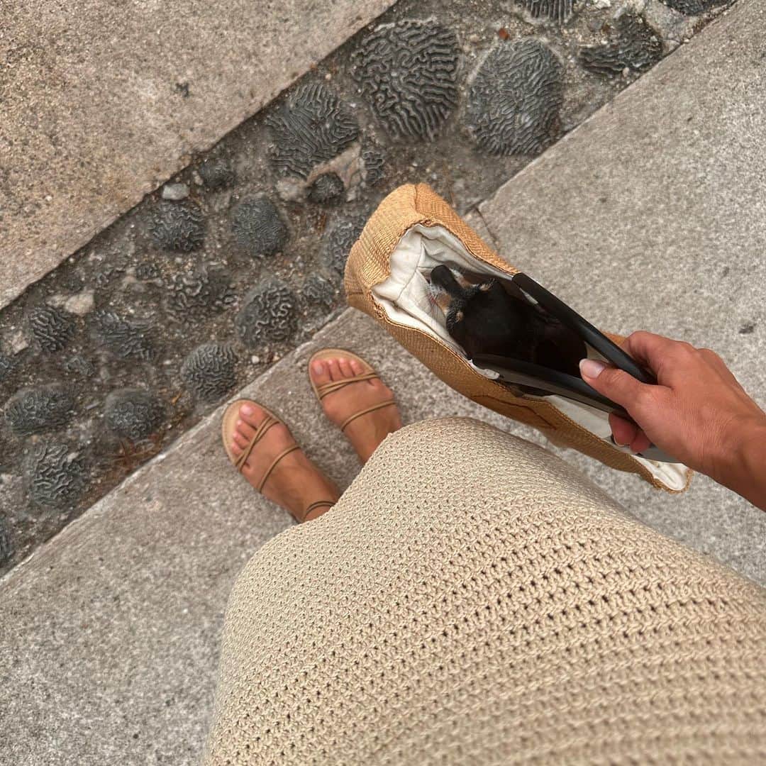 オレーシャ・ルーリンのインスタグラム：「“ you won’t have time for your dog once the baby is born” they said.  Me: chooses location for family vacation based on where the dog can travel.  Fur babies are babies」