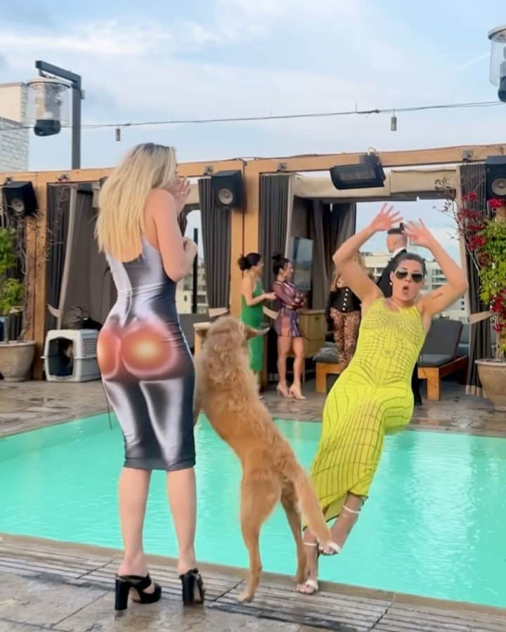 Leleponsのインスタグラム：「The ONE time I go out 😩🐕 @hannahstocking @lelepons @thehighlightroom」