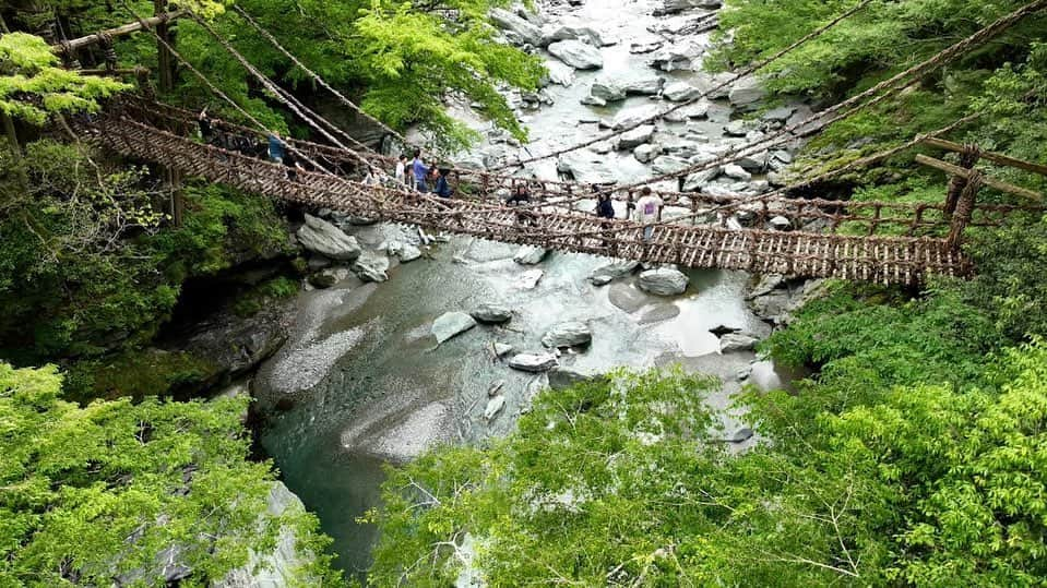 舘山聖奈のインスタグラム：「⁡ 今日のフットマップは トータルテンボスさんと徳島の秘境へ✨ ⁡ 植物で作られた”かずら橋”はスリル満点！！！ ⁡ そして “くさい”が褒め言葉の絶品徳島ラーメンも登場😋💕 ⁡ とってもアクティブで楽しいロケでした！ ⁡ ぜひご覧ください🫧 ⁡ きょう24日(土)午後6時30分からです🫶🏻 ⁡ ⁡ #フットマップ #offっとまっぷ #カンテレ」