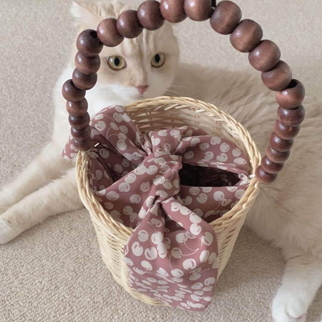 ericaのインスタグラム：「#hlt5th   🍒2019-2020🍒  ココス…🥹🐈💓  2年目もHer lip to尽くし✨ 伊勢丹でのPOPUPやTRUNK近くでのPOPUPに 雨の中、朝から並んだり☔️ (マジで6時くらいにタクシー配車して整理券取りに行ってた🚕)  水着を持ってダナンにも行ったよ🏝️ てかダナン以降、何気に海外行けてないな… 次、海外に行く時は👶連れかぁ…感慨深い😌🍼  2020年の前半はコロナが流行り始めて 春のPOPUPが中止に…😞😞💦 だけど、小嶋さんは天才なので👼 STAYHOME関連のアイテムを沢山リリースしてくれて おうち時間でもウキウキすることができました🏠  天才を推すことが出来て本当に嬉しいです🙏 いつも素晴らしいアイテムを提供してくれて 本当にありがとうございます🍒」