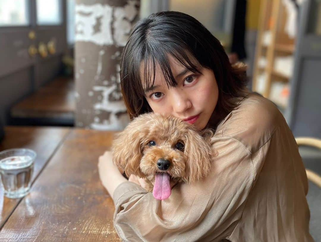 横山キラさんのインスタグラム写真 - (横山キラInstagram)「中目黒へお出かけ🐾  📍Taste AND Sense 店内ワンコOKのお店🐶 本日のスイーツをいただきました🤤 甘いもの×ホットコーヒーの組み合わせが大好きです♡ 中目黒以外にも、いつもワンコOKカフェはインスタで探しています！  📍ジャンカデリック 大学のお友達が見つけてくれたお店🍽 メキシカン大好きなので幸せ空間でした、、、🇲🇽 タコサラダとビーフのタコスとグアバジュースいただきました😋 辛いソース沢山かけてしまいました🌶🌶🌶  📍 STARBUCKS RESERVE® ROASTERY TOKYO スタバのリワードを交換するのに、よく行きます☕️ 2階で抹茶のアフォガートをいただきました꒰ 🍵 ꒱ ランチ後のおやつにピッタリでした！   #中目黒カフェ  #中目黒グルメ  #中目黒ランチ  #tasteandsense  #ワンコokカフェ  #トイプードルレッド  #ジャンカデリック  #メキシカン料理  #タコス  #ロースタリー  #抹茶アフォガード  #スターバックスリザーブロースタリー東京」6月24日 12時06分 - kira_yokoyama_