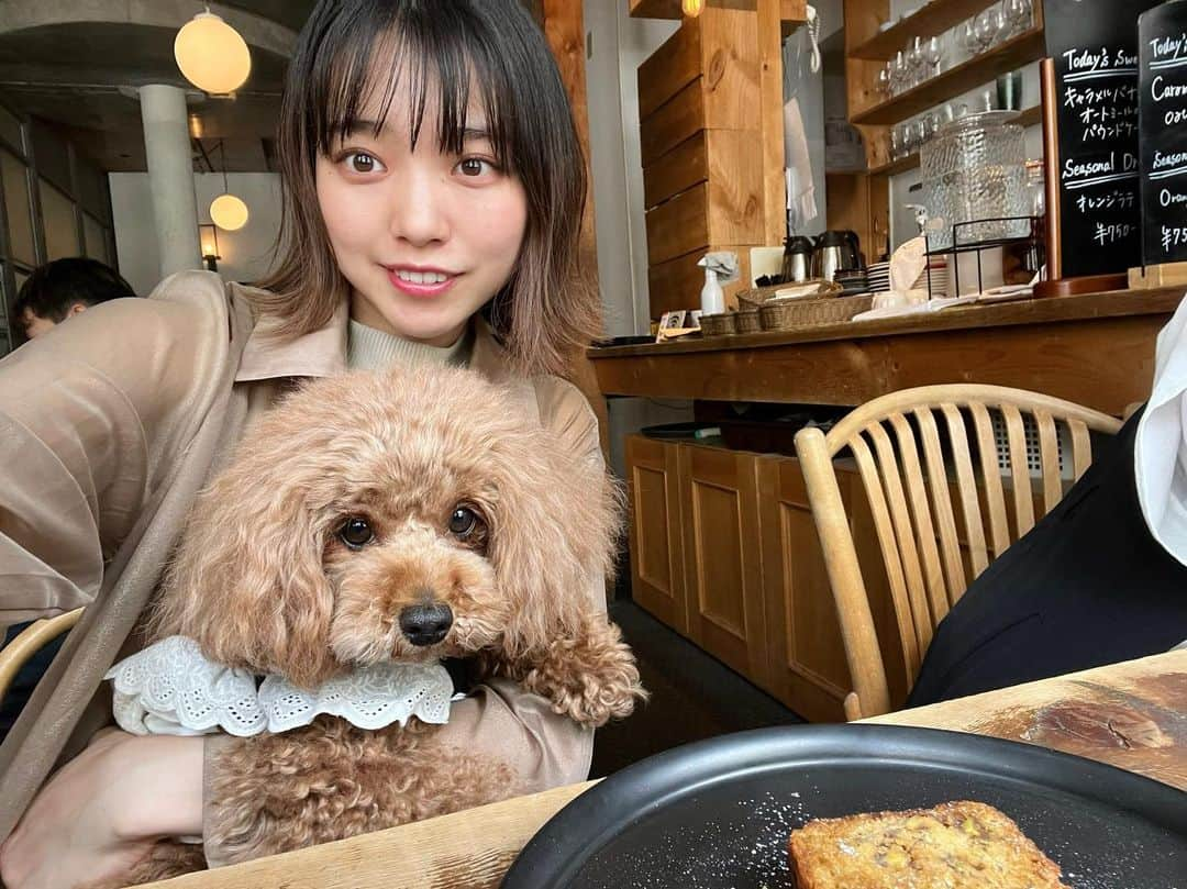 横山キラのインスタグラム：「中目黒へお出かけ🐾  📍Taste AND Sense 店内ワンコOKのお店🐶 本日のスイーツをいただきました🤤 甘いもの×ホットコーヒーの組み合わせが大好きです♡ 中目黒以外にも、いつもワンコOKカフェはインスタで探しています！  📍ジャンカデリック 大学のお友達が見つけてくれたお店🍽 メキシカン大好きなので幸せ空間でした、、、🇲🇽 タコサラダとビーフのタコスとグアバジュースいただきました😋 辛いソース沢山かけてしまいました🌶🌶🌶  📍 STARBUCKS RESERVE® ROASTERY TOKYO スタバのリワードを交換するのに、よく行きます☕️ 2階で抹茶のアフォガートをいただきました꒰ 🍵 ꒱ ランチ後のおやつにピッタリでした！   #中目黒カフェ  #中目黒グルメ  #中目黒ランチ  #tasteandsense  #ワンコokカフェ  #トイプードルレッド  #ジャンカデリック  #メキシカン料理  #タコス  #ロースタリー  #抹茶アフォガード  #スターバックスリザーブロースタリー東京」