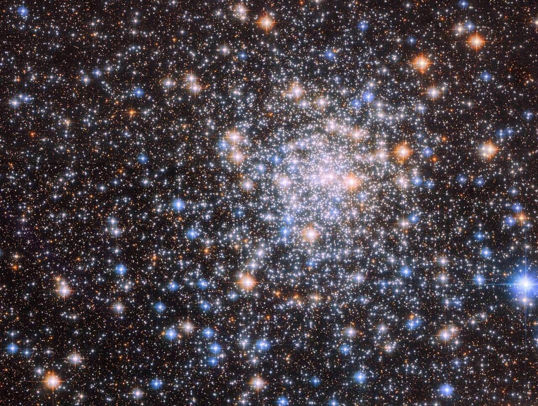 NASAさんのインスタグラム写真 - (NASAInstagram)「Rise and shine!  This is the glistening globular cluster NGC 6544, a densely populated region with tens of thousands of stars. At more than 8,000 light-years from Earth, this @NASAHubble image combines data from two of Hubble’s instruments — the Advanced Camera for Surveys and Wide Field Camera 3 — as well as two separate astronomical observations.   The first observation was designed to find a visible counterpart to the radio pulsar discovered in NGC 6544. The second observation which contributed data to this image was also designed to find the visible counterparts of objects detected at other electromagnetic wavelengths, like X-ray sources. These observations could help explain how clusters like NGC 6544 change over time.  Learn more at the link in our bio!  Image Description: A cluster of stars in warm and cool colors. The whole view is filled with small stars, which become much denser and brighter around a core just right of center. Most of the stars are small, but some are larger with a round, brightly colored glow and four sharp diffraction spikes. Behind the stars, a dark background can be seen.」6月24日 4時15分 - nasagoddard