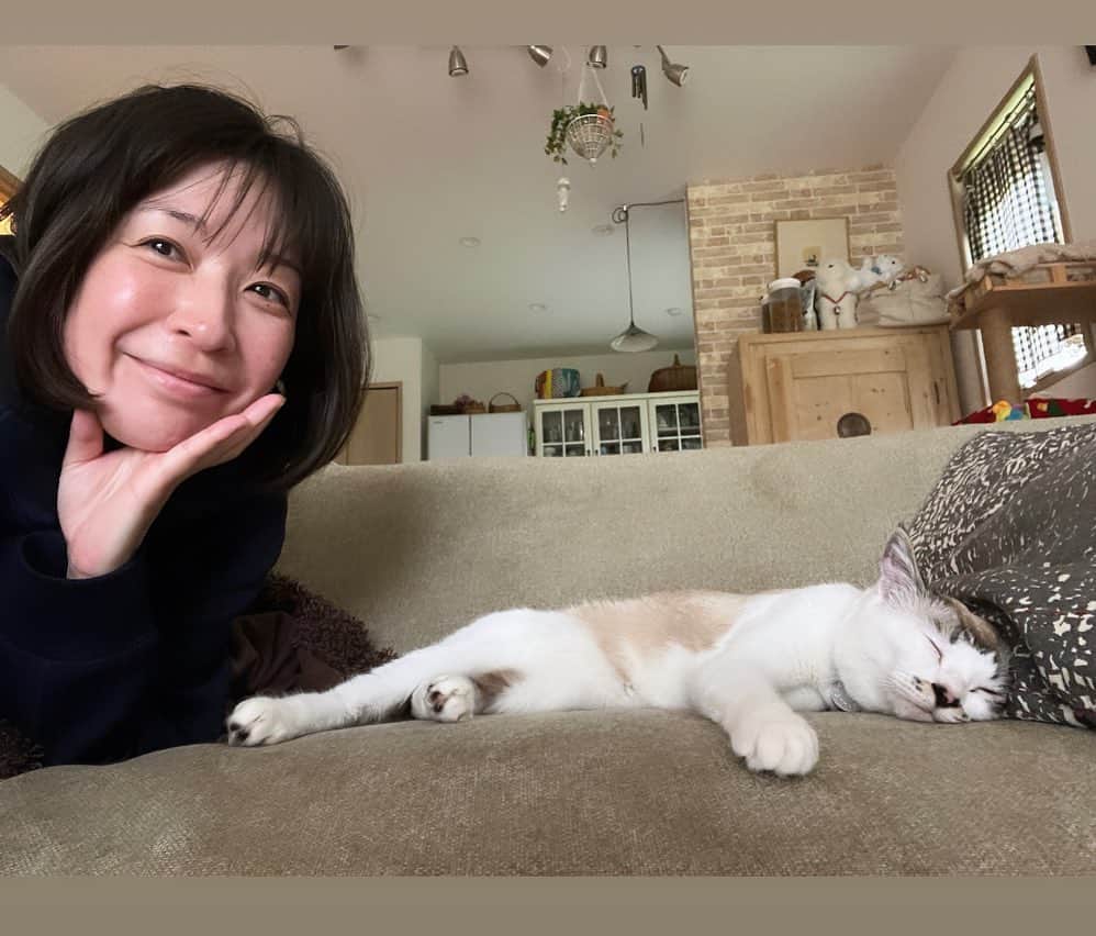 小野真弓さんのインスタグラム写真 - (小野真弓Instagram)「おはにゃん😪⛅️  空が明るくなるのが 早くなりまして〜☀️⛰️ 4時半頃に目が覚める我が家です👀✨ 🦝🐏🐯🐯🐼🐈‍⬛🐱🐱🐱  5時半🕰️ 🐯🎀 とろけるナナちゃん。。🫠 を、眺めながら〜 ほっとひと息コーヒータイム🙋‍♀️☕️♨️  今日も、良い一日をお過ごしください☺️🍀  #早起き家族 #犬と猫のいる暮らし#犬猫日記  #とろける猫#ナナちゃん #セクシーポーズ猫#ちりんくん #ごろりんちょ猫#アオくん #お見合い#ピノちゃん #のんびりわんこ#ハナちゃん #そっくりスイーツ犬#ハルくん」6月24日 5時44分 - hanaharuaroi