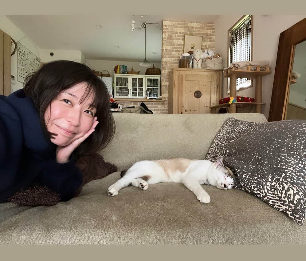 小野真弓さんのインスタグラム写真 - (小野真弓Instagram)「おはにゃん😪⛅️  空が明るくなるのが 早くなりまして〜☀️⛰️ 4時半頃に目が覚める我が家です👀✨ 🦝🐏🐯🐯🐼🐈‍⬛🐱🐱🐱  5時半🕰️ 🐯🎀 とろけるナナちゃん。。🫠 を、眺めながら〜 ほっとひと息コーヒータイム🙋‍♀️☕️♨️  今日も、良い一日をお過ごしください☺️🍀  #早起き家族 #犬と猫のいる暮らし#犬猫日記  #とろける猫#ナナちゃん #セクシーポーズ猫#ちりんくん #ごろりんちょ猫#アオくん #お見合い#ピノちゃん #のんびりわんこ#ハナちゃん #そっくりスイーツ犬#ハルくん」6月24日 5時44分 - hanaharuaroi