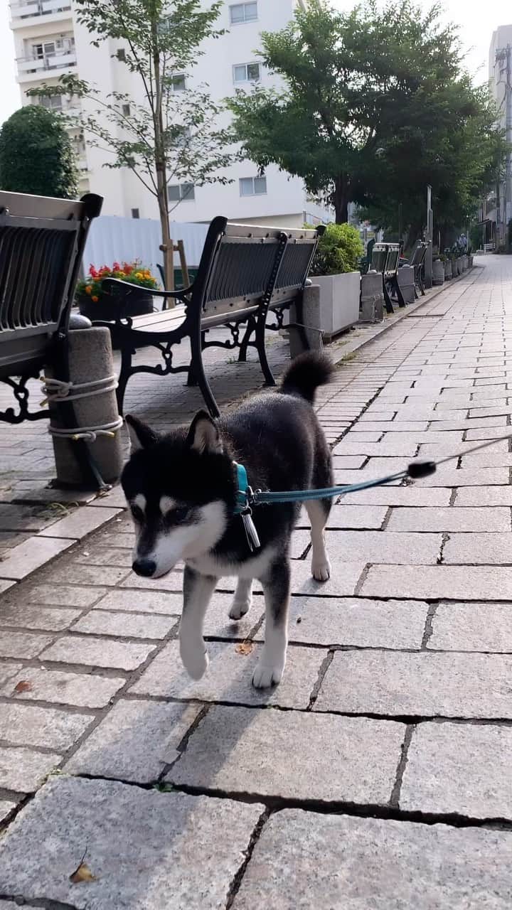 くろのグルメインスタ