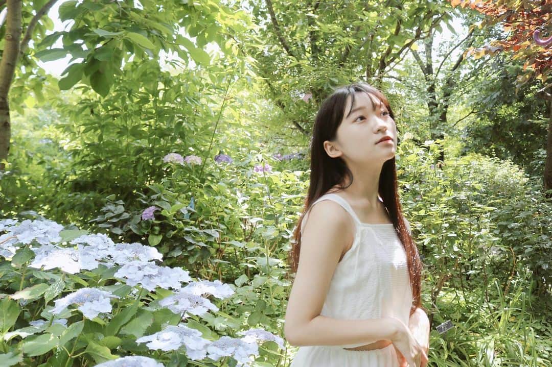 前野えまさんのインスタグラム写真 - (前野えまInstagram)「My heart pounded at the future excitement. ・ ・ #goodmorning  #naturephotography  #hydrangeas  #june  #flowerphotography  #greenphotography  #girlportrait #actress #actor #girl #photography #portrait #japanesegirl #portraitphotography #daily_phot_jpn #japan_daytime_view」6月24日 7時11分 - maeno_ema