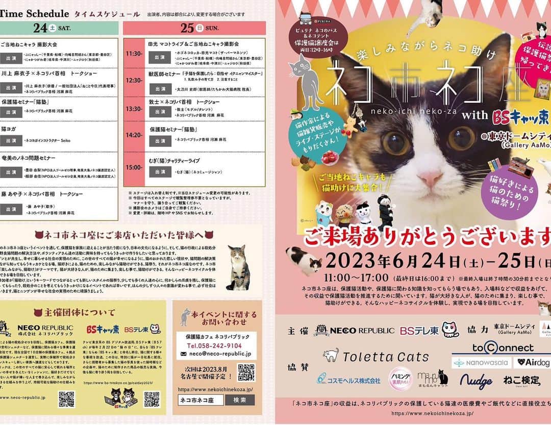 川上麻衣子さんのインスタグラム写真 - (川上麻衣子Instagram)「本日は12：30から東京ドームシティで開催される「ネコ市ネコ座」で登壇させていただきます！2022年2月22日に構想スタート。たくさんの応援の中生みの苦しみを味わってきた「猫に特化したweb上の街NYANAKA TOWN」についてお話しします！お時間ありましたらぜひ遊びにいらしてください🐈」6月24日 7時43分 - kawakami.maiko