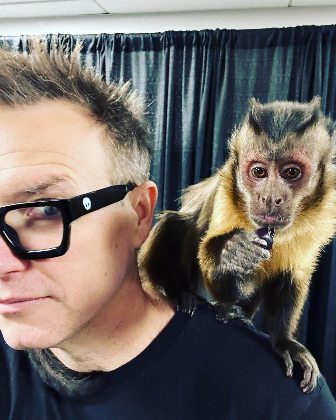 マーク・ホッパスのインスタグラム：「The beginning of every horror movie.」