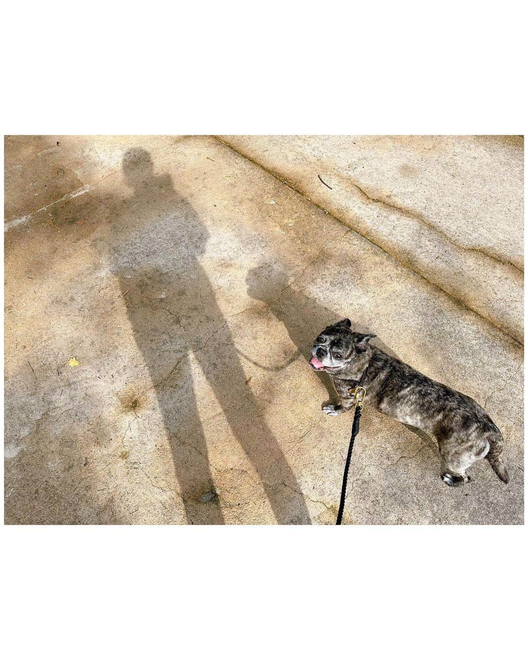 李ヒャンのインスタグラム