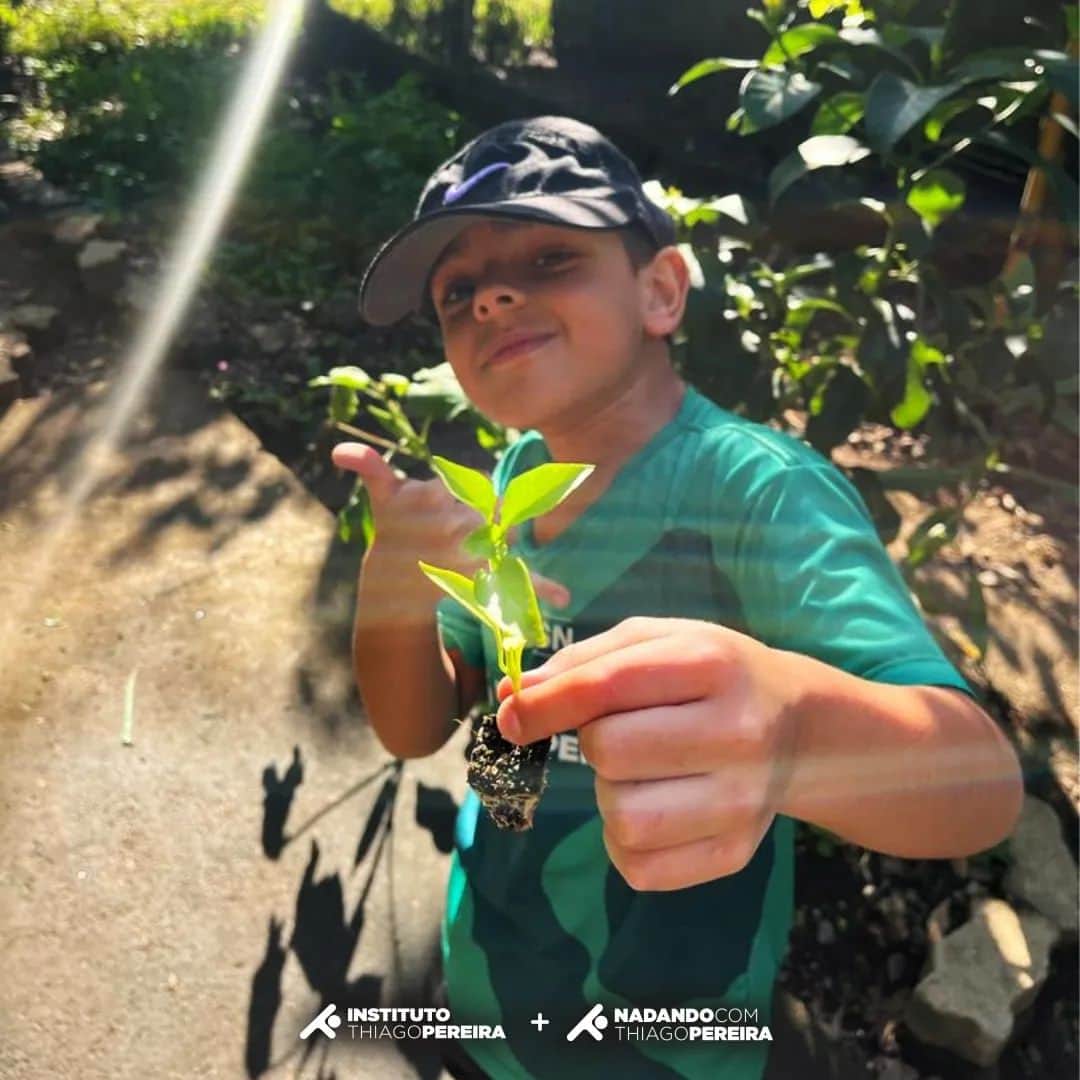 のインスタグラム：「Essa semana realizamos, junto com os alunos do @nadandocomthiagopereira_ uma super iniciativa: o plantio de mudas e hortaliças no canteiro que fica dentro do Parque Aquático de Volta Redonda @parqueaquatico.vr , ao lado das piscinas. Essa ação idealizada pelo grande @cae_prof82 vai de encontro com o objetivo do Instituto de promover valores positivos através do ambiente do Esporte – entre eles, a consciência em torno da nossa sociedade e do nosso planeta! 🌱🌎💧🏊‍♂️」