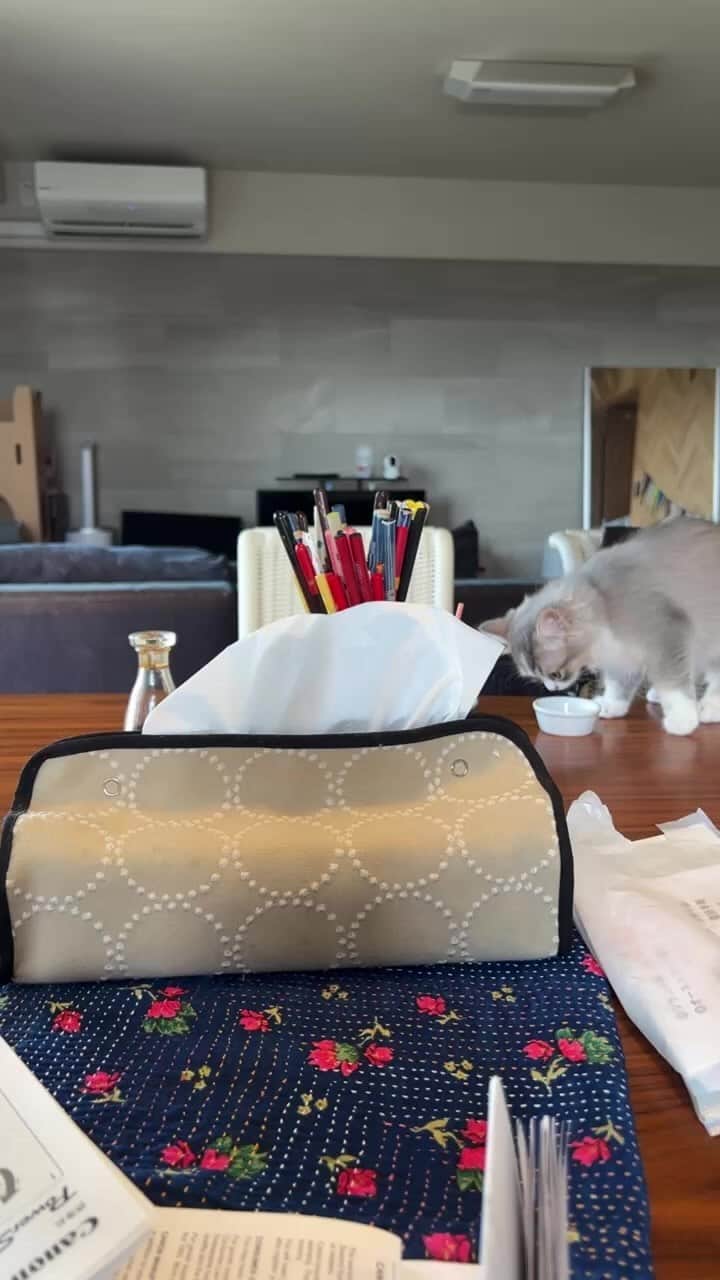 kougeishaのインスタグラム