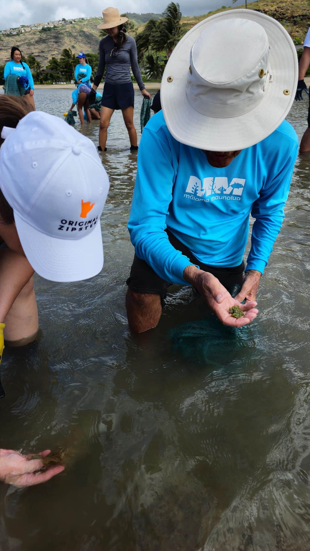 Zippy's Restaurantsのインスタグラム：「Come with us to clean up invasive alien algae! 🩵   To date, one of Mālama Maunalua’s key initiatives in restoring the health of Maunalua Bay has involved removing invasive alien algae via regular volunteer-based hukis (large-scale, organized community events to “pull” or remove IAA at select plots). Approximately 3,000 volunteers, including 1,000 students, participate in Mālama Maunalua’s 30+ community hukis every year, coming together to remove the Invasive Alien Algae (IAA) from Paiko beach. More than 4 million pounds have been removed and recycled as soil amendment at local farms.   Mahalo to the @malamamaunalua team for inviting our Finance and Marketing teams into your space! #NextStopZippys  #mālamaāina #alohaāina #invasivealienalgae #mālamamaunalua #malamamaunalua」