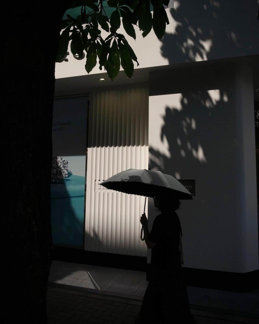 Halさんのインスタグラム写真 - (HalInstagram)「* * A sunny day in the rainy season. * * 日傘は大事！ * * #grsnaps #gr_meet_japan #grdigital4 #ricohgr #igersjp #jp_gallery_member  #sharaku_photostudio  #team_jp_ #ricoh_gr_women #shootgr #frametokyocollective  #thephotosector #voidtokyo  #streetphotography #streetsnap #moments_in_streetlife #igworldclub_street #scene_description #street_incity #shootgr #i_c_part #streetphotographers #streetartjaponism #urbanstreetphotogallery #lovers_amazing_group」6月24日 10時11分 - hal_h1010