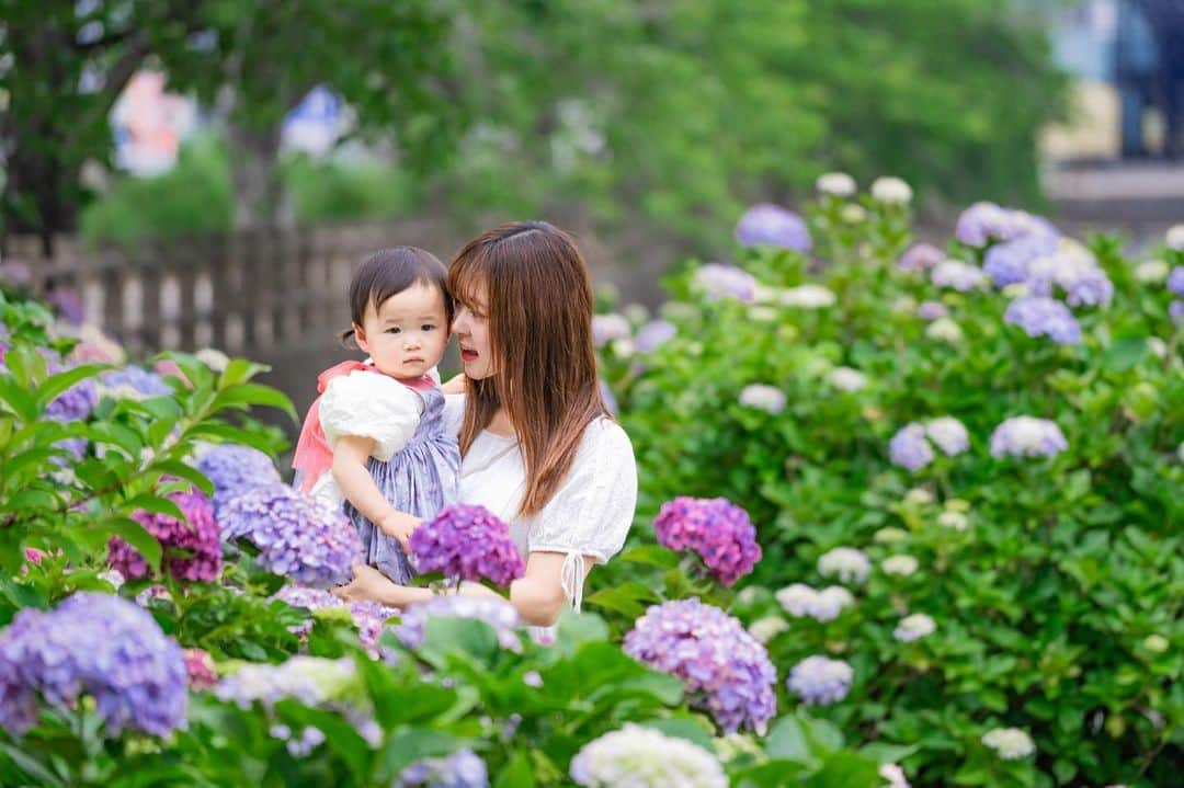 武田るいのインスタグラム：「紫陽花　~ 🏵️ 去年の紫陽花投稿から1年たって白玉お師匠すくすく成長中~👶🏻💓 静かにずっと活発に動いてるタイプ👸✨ 毎日が宝物　👼　♡  #一歳５ヶ月 #べびすたぐらむ #家族写真 #親子 #family #紫陽花 #静岡 #baby」