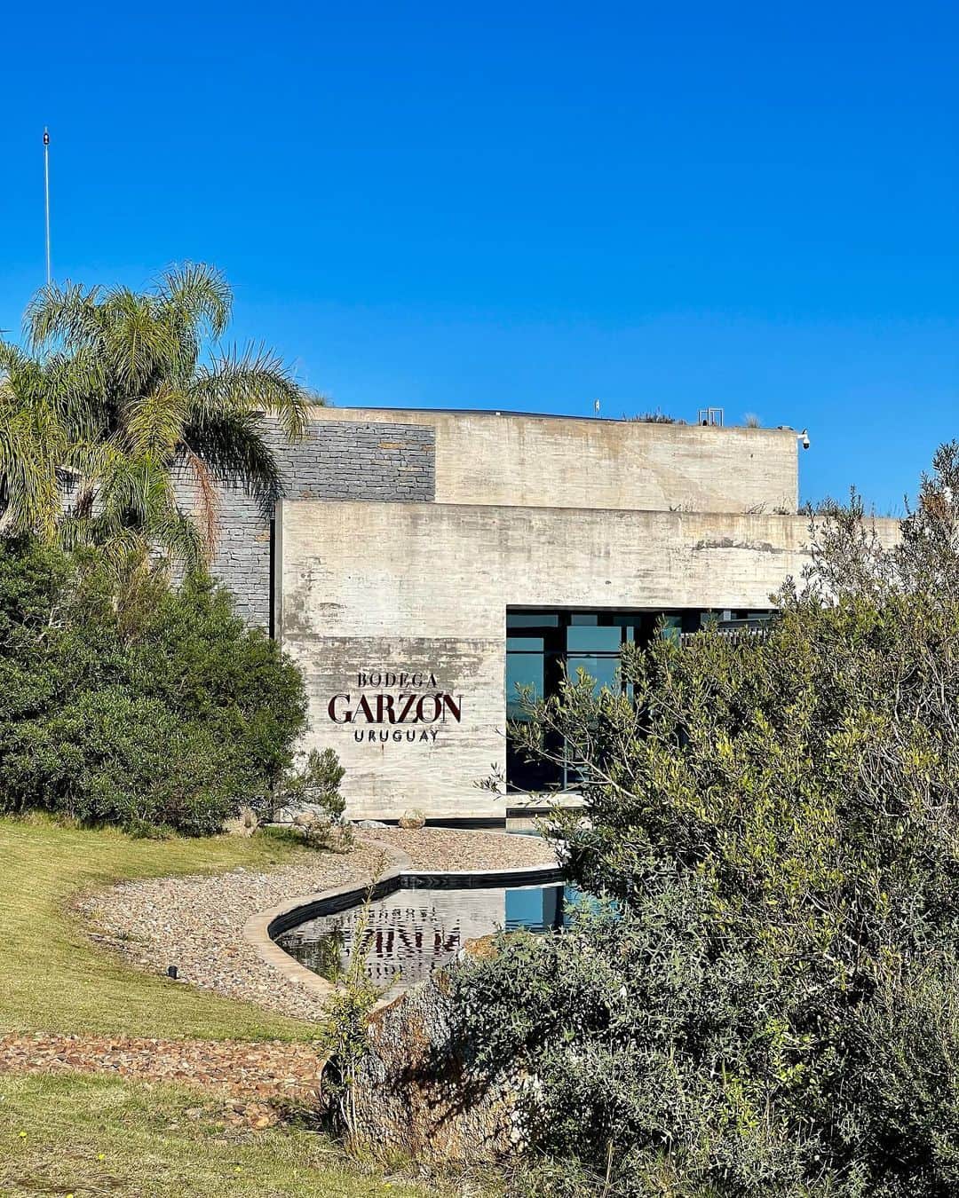 jotipolizoakisのインスタグラム：「it’s been all about some gooood grape juice today 😉 thank you so much @bodegagarzon for the tour and tasting. it’s been absolutely phenomenal! i love the art of winemaking!!」