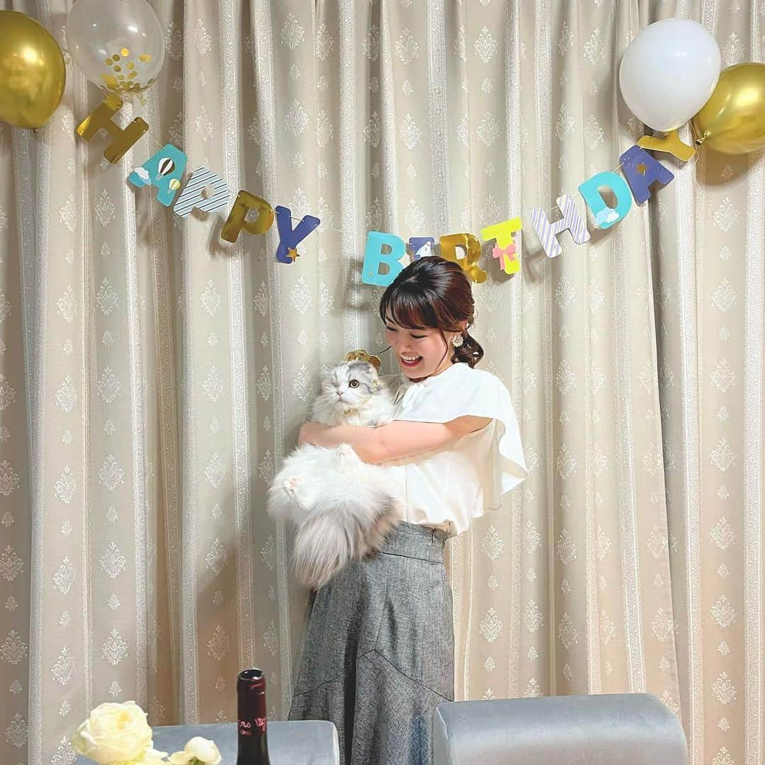 遠野愛さんのインスタグラム写真 - (遠野愛Instagram)「6月22日は愛猫の誕生日♡  中学生のときに家族になってくれたみるくはことしで11歳！ 本猫は終始嫌そうな顔をしていましたが親バカなので誕生日会を開きました🐈  同期と先輩方が猫の誕生日会初めてだわ…とちょっと引きながらも参加してくれました☺️笑  せっかく買ったいつもの5倍値段の猫缶をぺろりともしないつれないところも、一生懸命選んだプレゼントに興味がないところも大好き🫶笑  自己満といわれればそれまでですが一緒にいられる限られた時間の中で少しでも愛を伝えたいのです、長生きしてねえ🥹  #猫　#猫のいる暮らし #birthday  #catstagram #誕生日 #人間のご飯ははぼ中谷作😌」6月24日 11時12分 - ai.tono_fbs